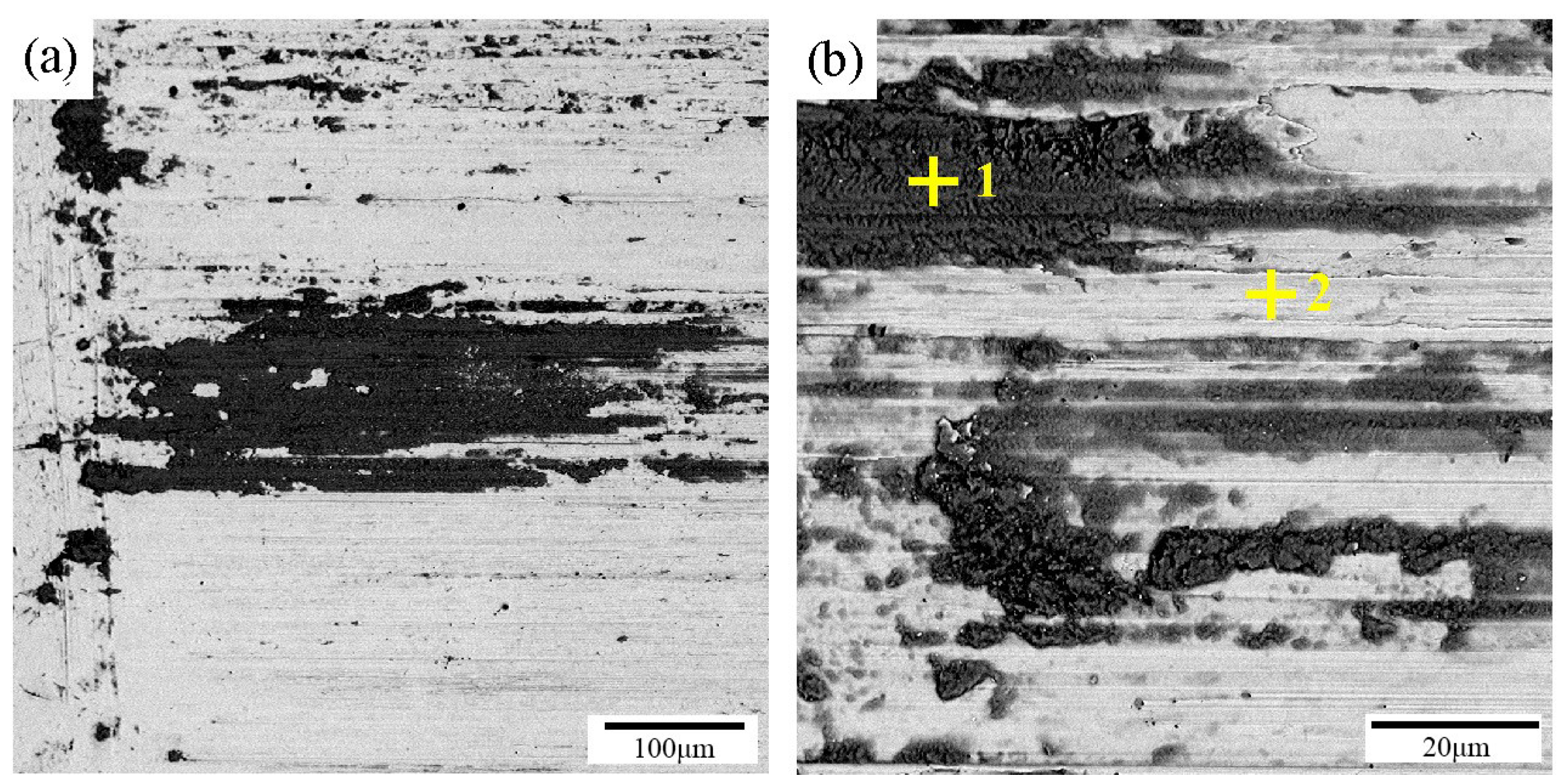Coatings 09 00276 g006a
