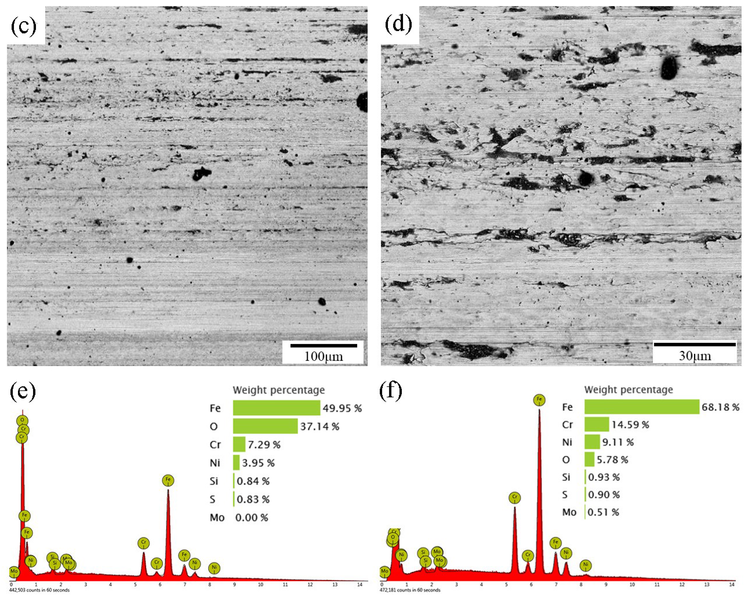 Coatings 09 00276 g006b