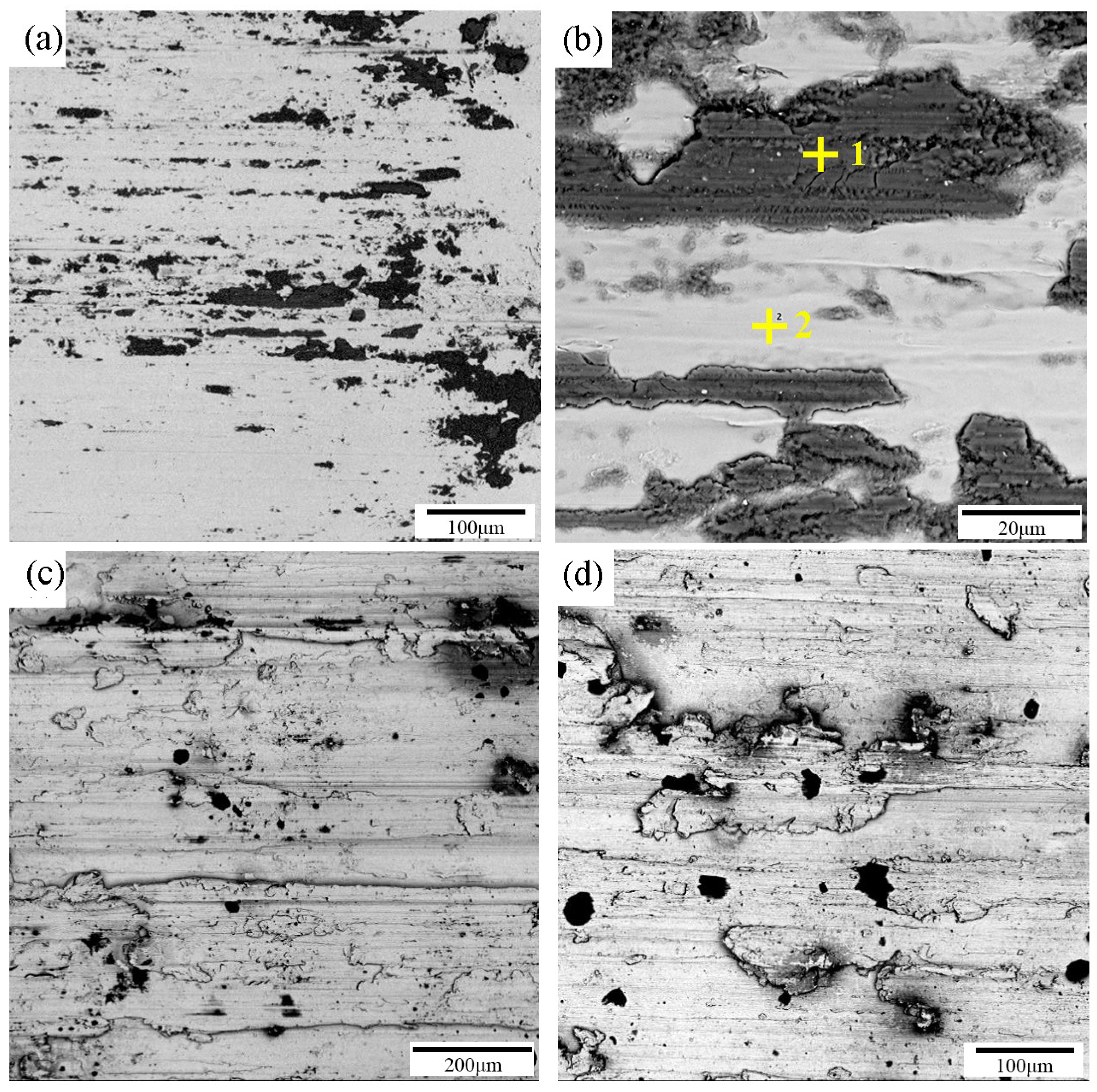 Coatings 09 00276 g007a