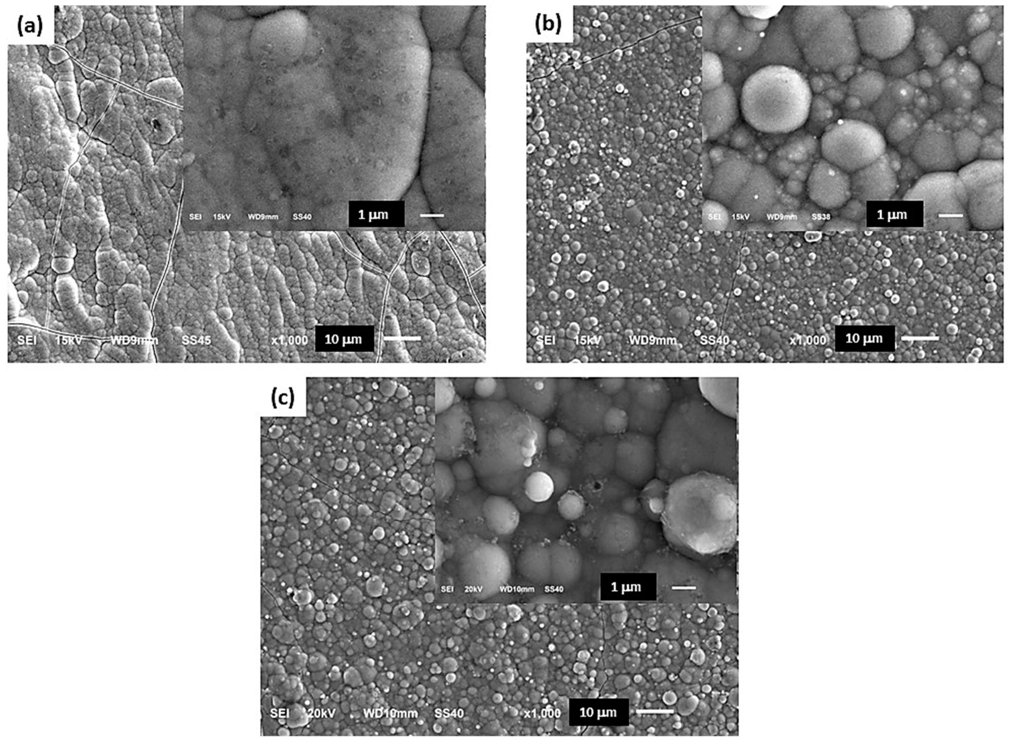 Coatings 09 00279 g005