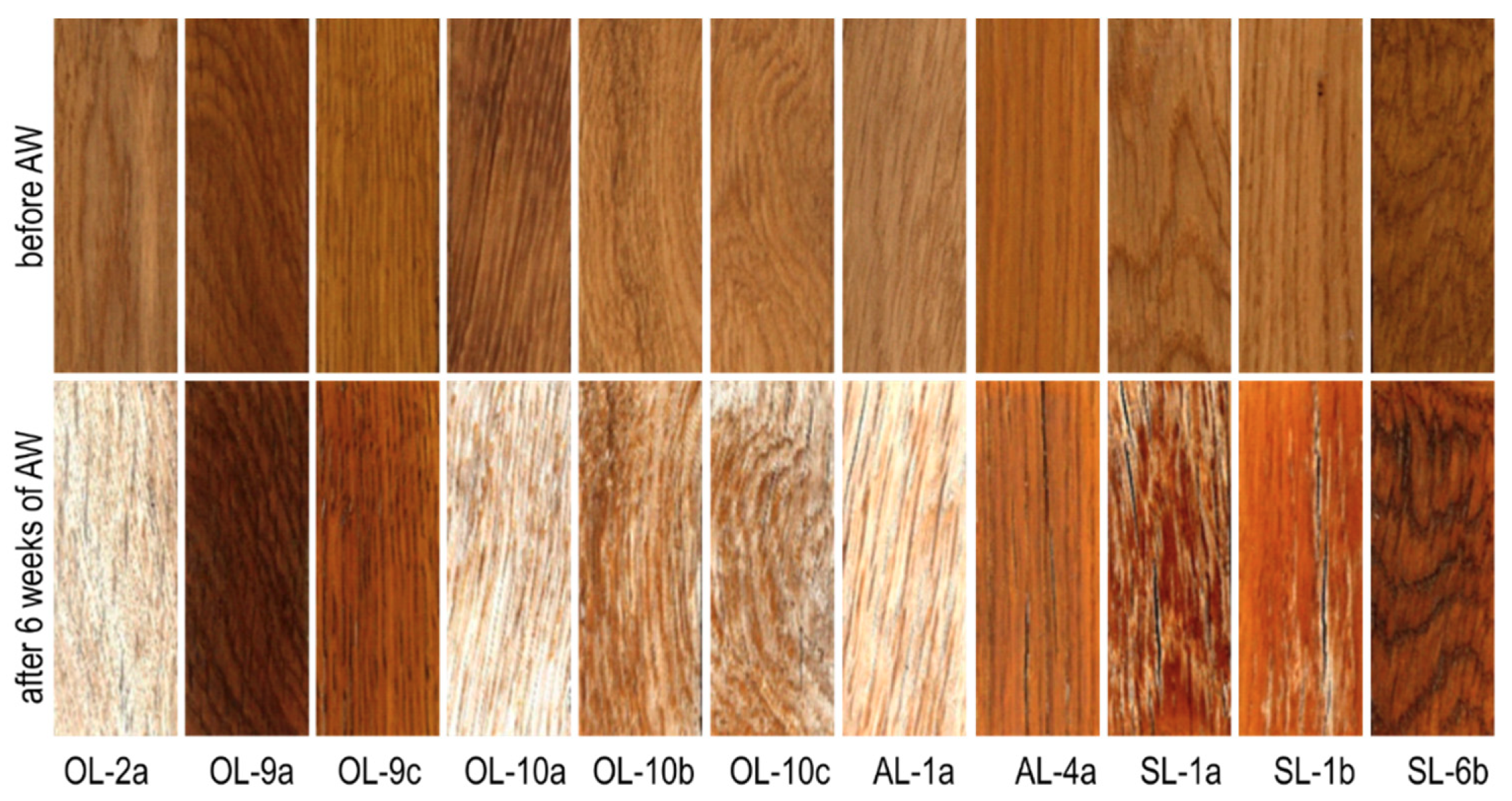 Coatings 09 00280 g007