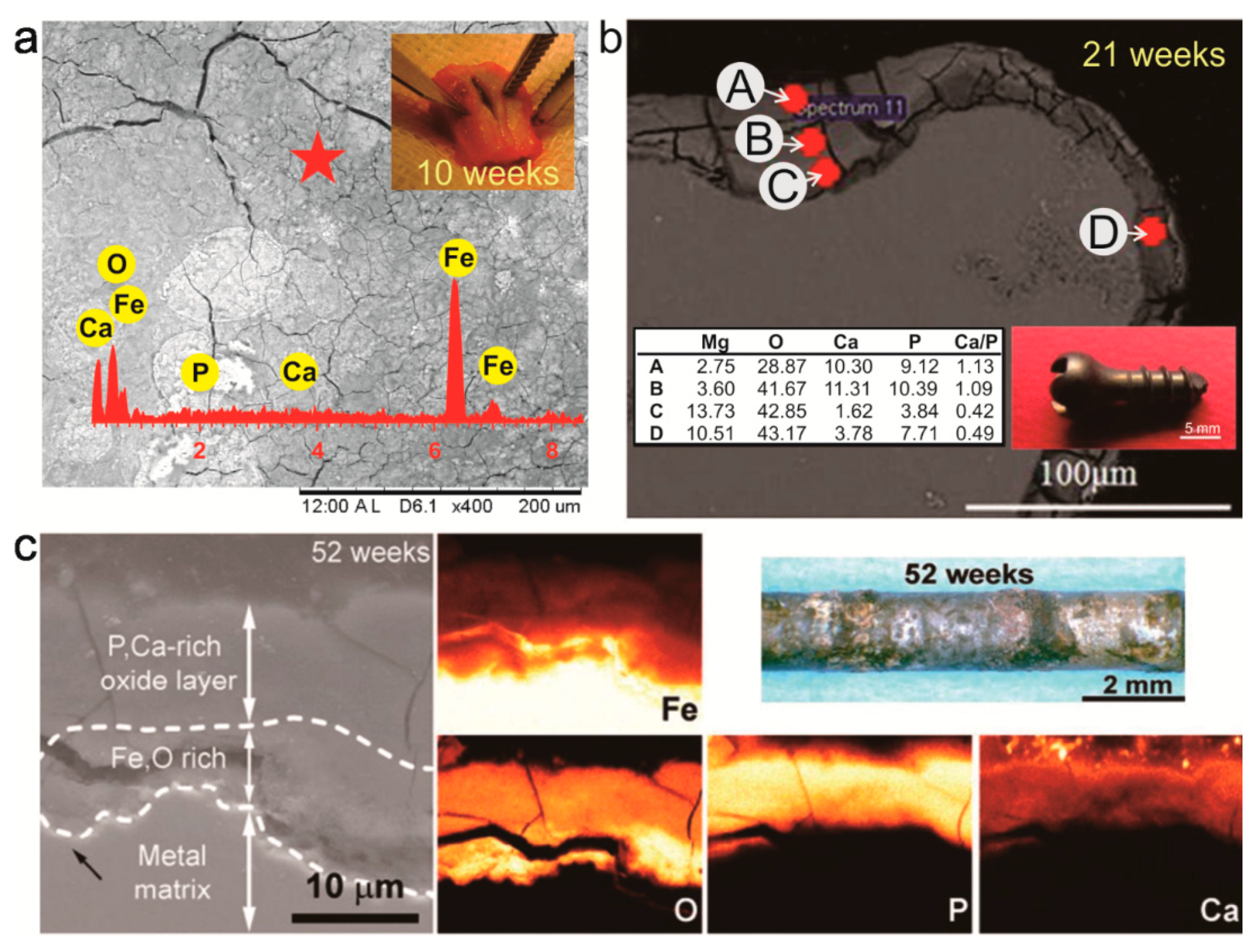 Coatings 09 00282 g002 Coatings 09 00282 g002
