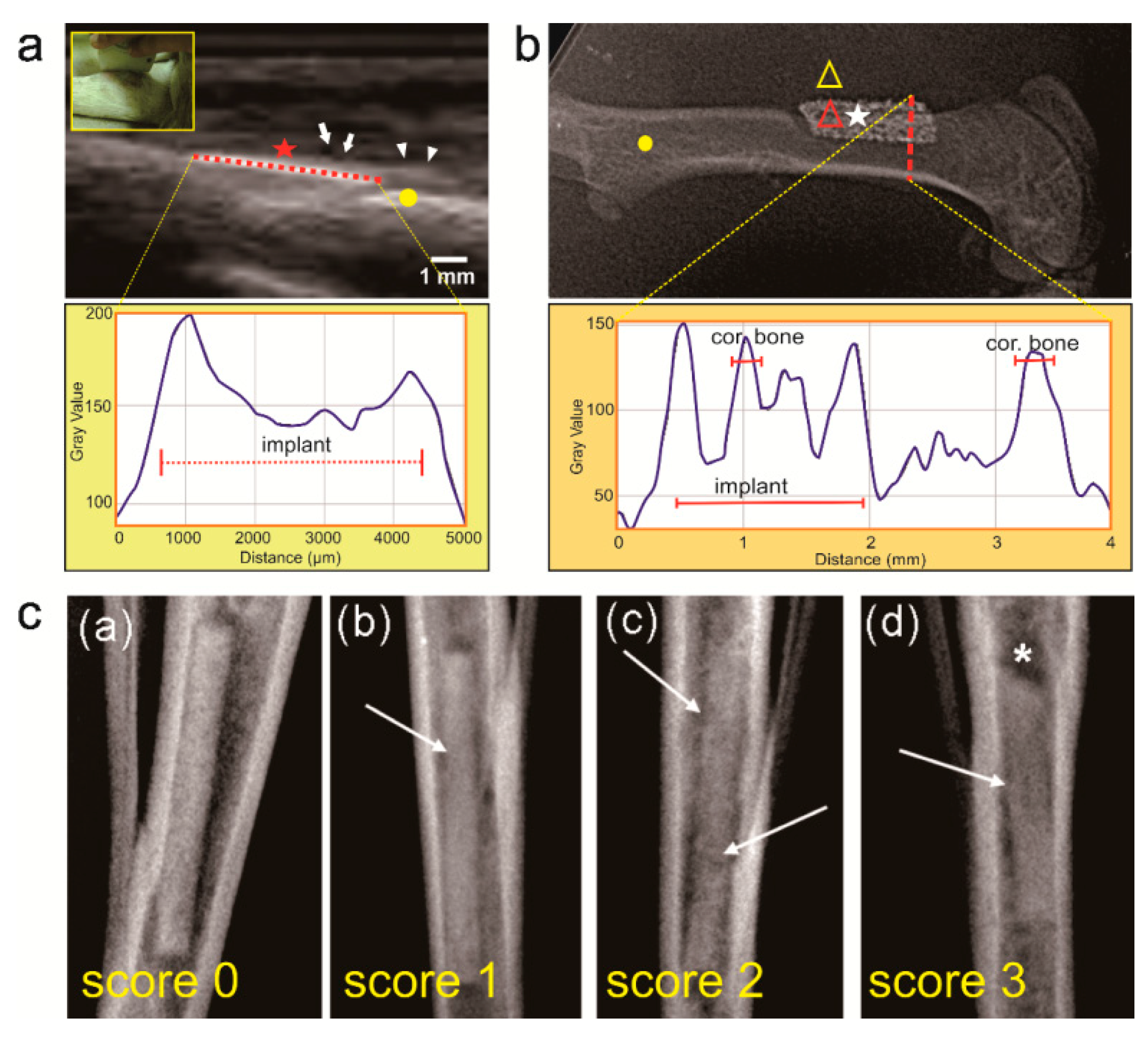 Coatings 09 00282 g004 Coatings 09 00282 g004
