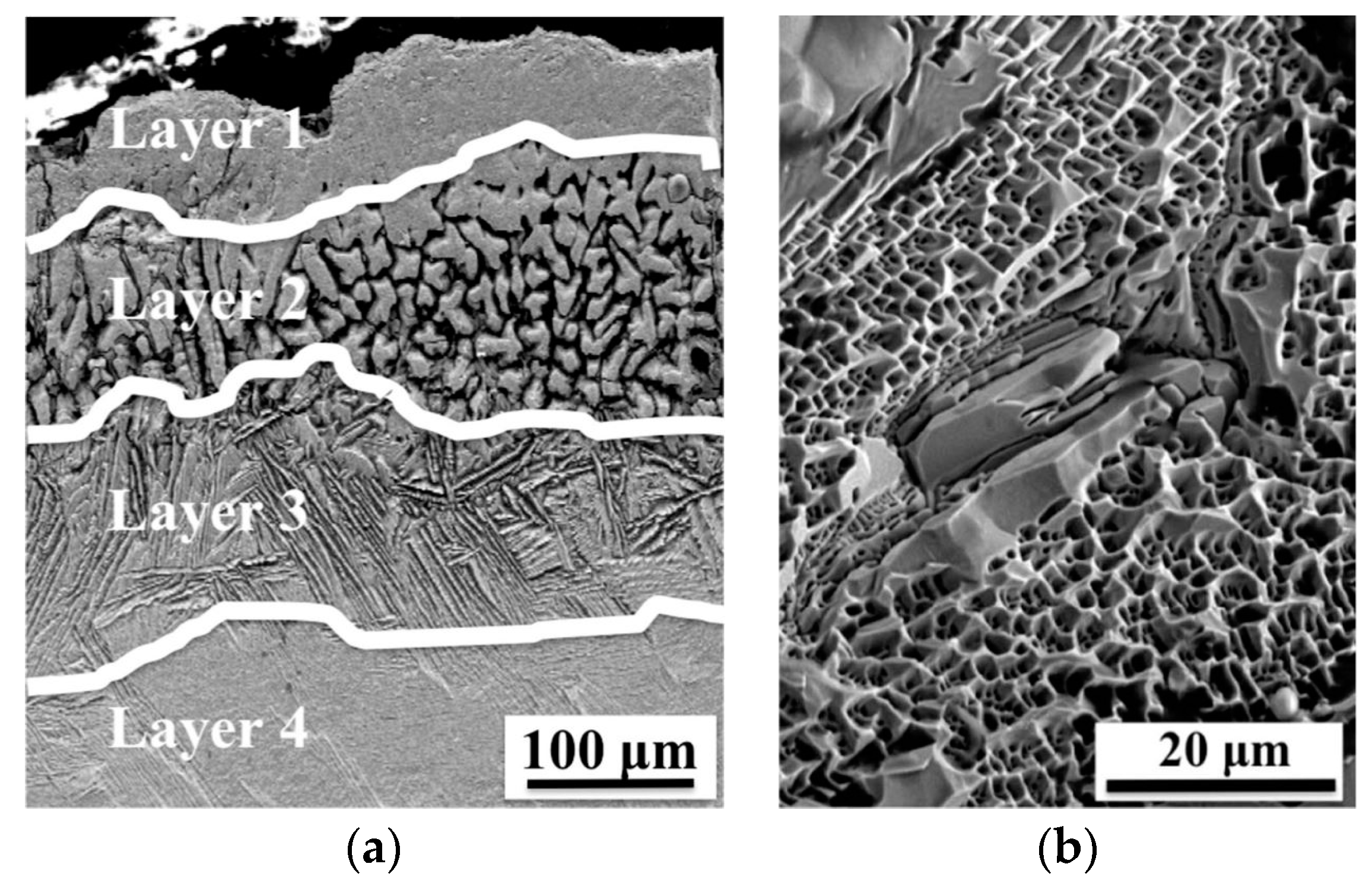 Coatings 09 00283 g007