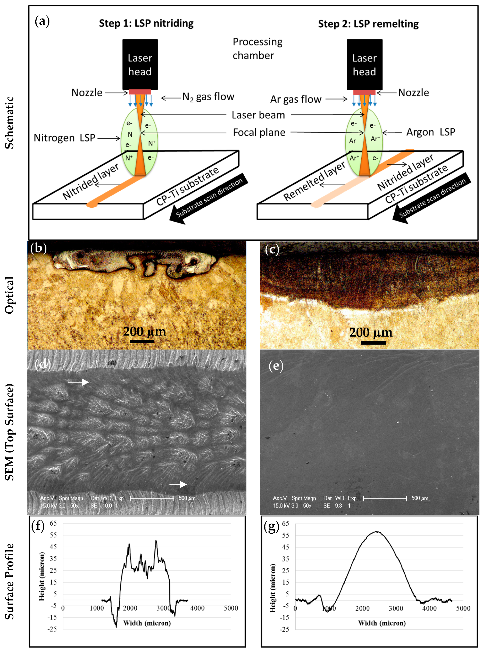 Coatings 09 00283 g010