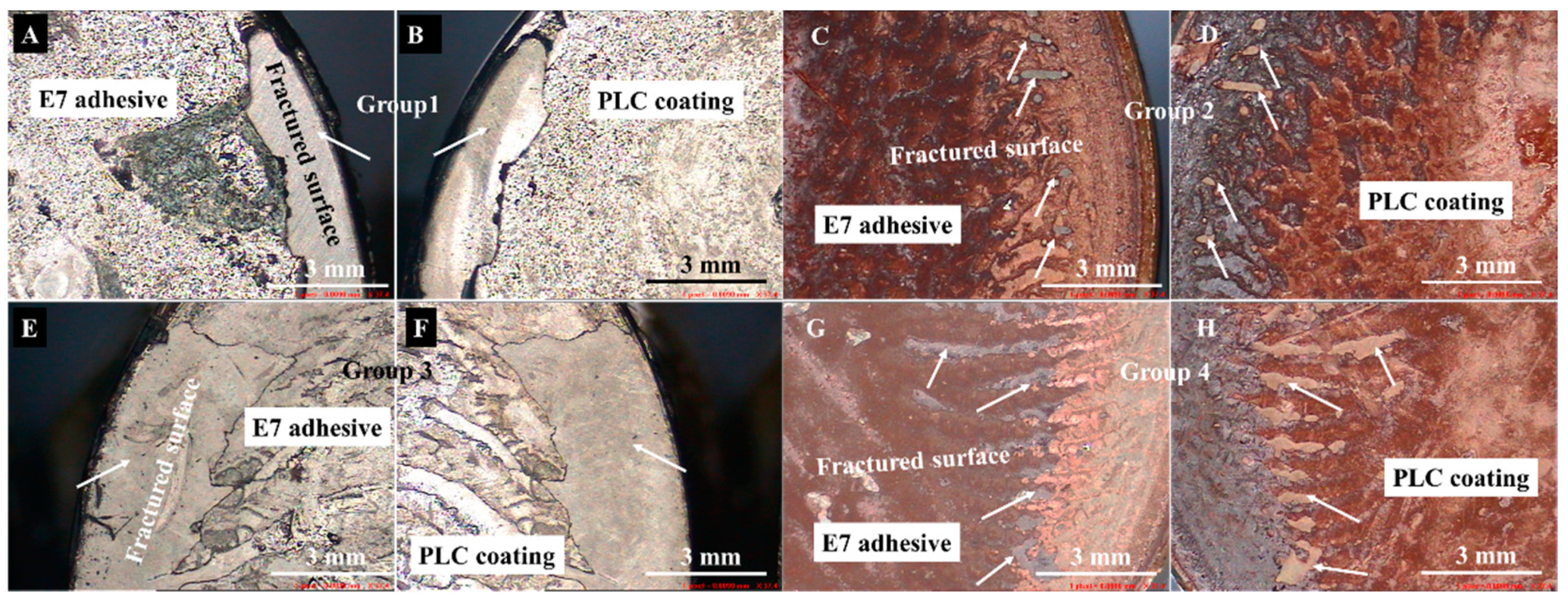 Coatings 09 00284 g005 Coatings 09 00284 g005