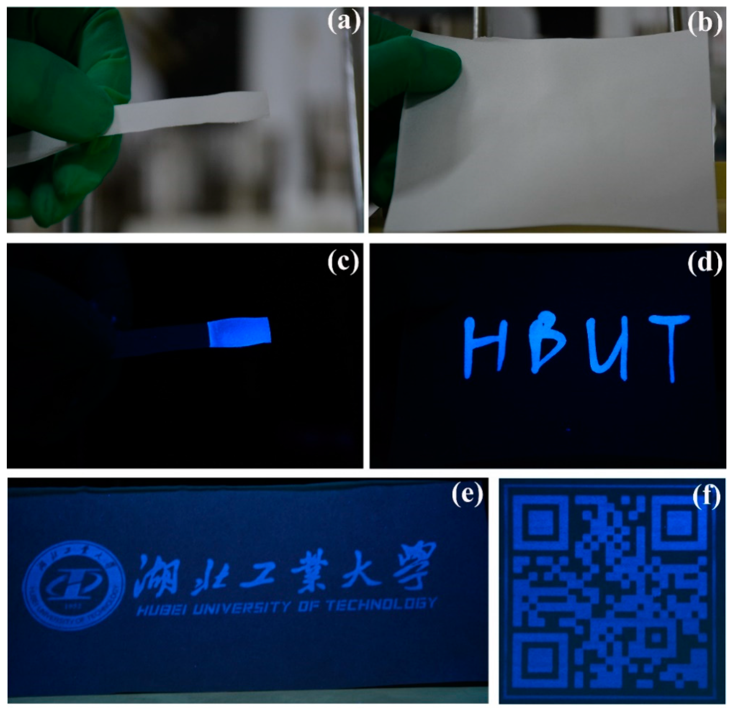 Coatings 09 00289 g006