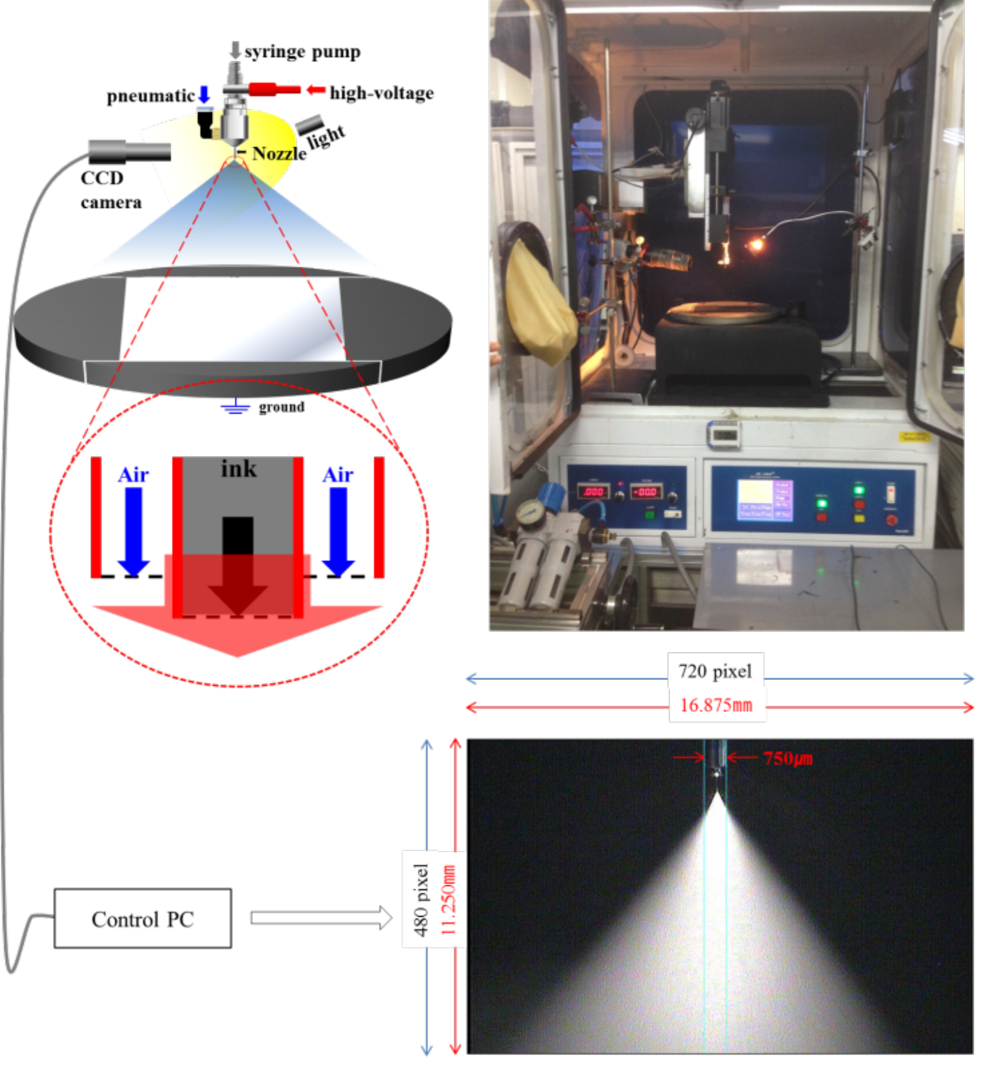Coatings 09 00294 g002 550