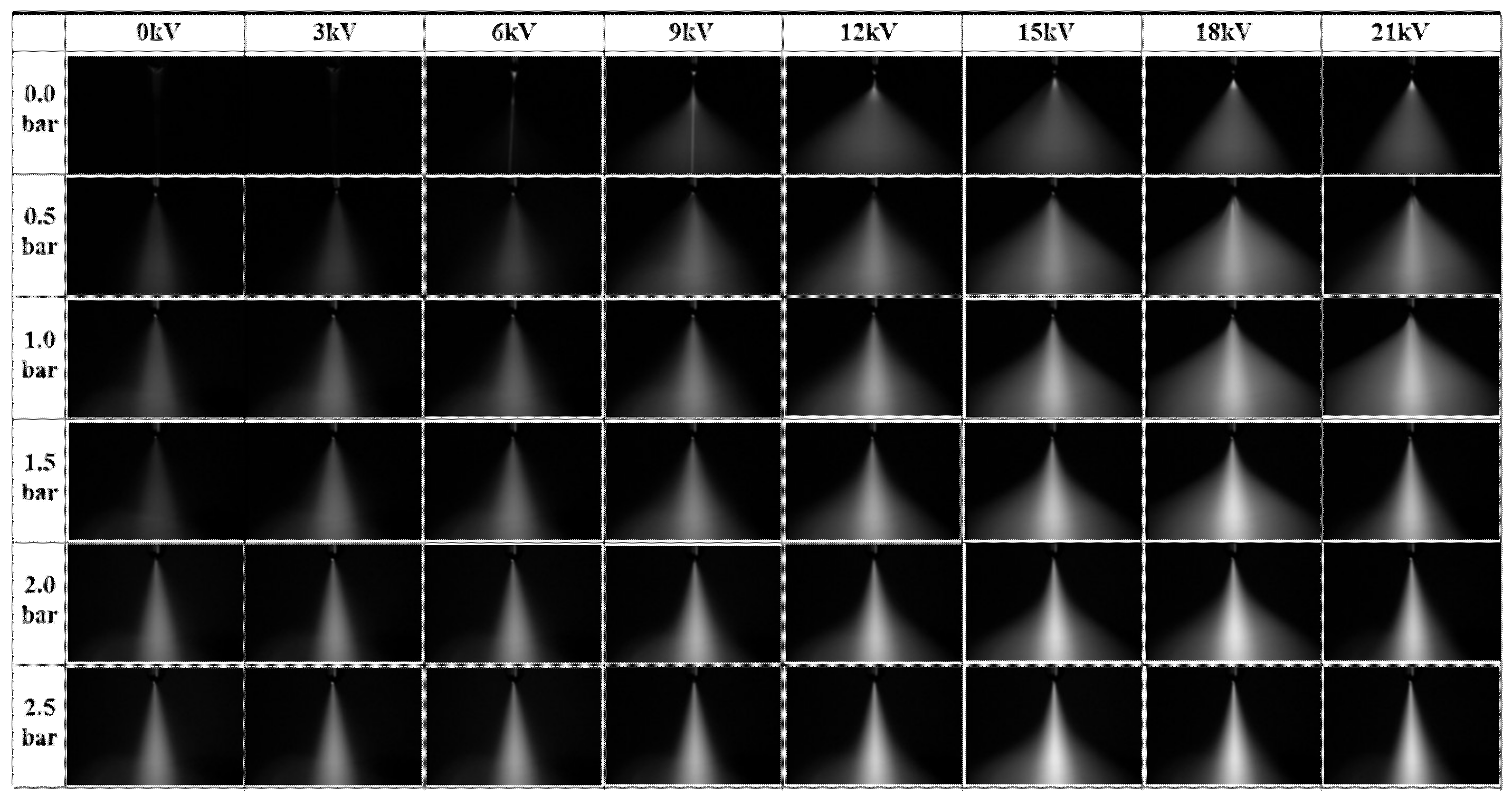 Coatings 09 00294 g003 550