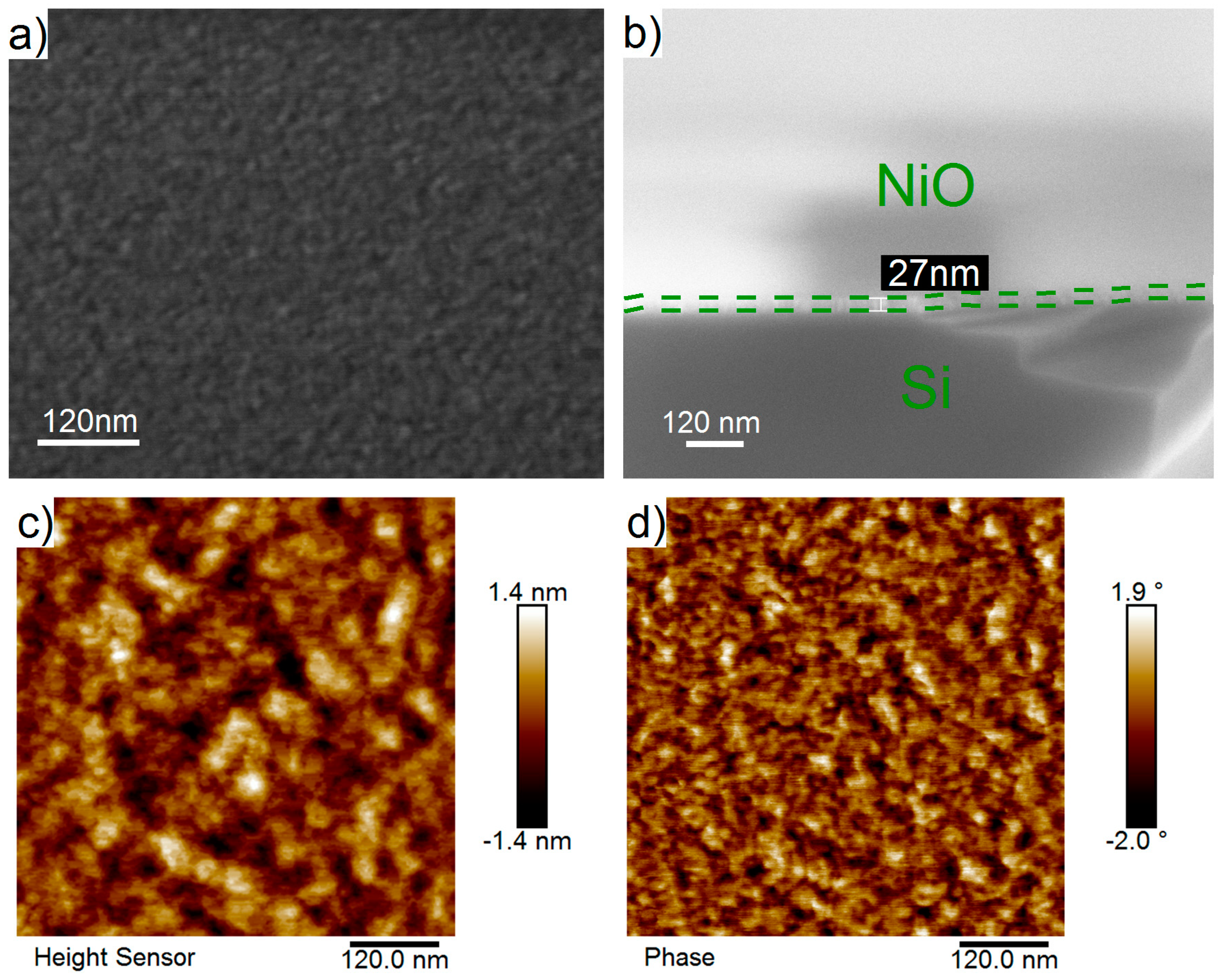 Coatings 09 00301 g005 Coatings 09 00301 g005
