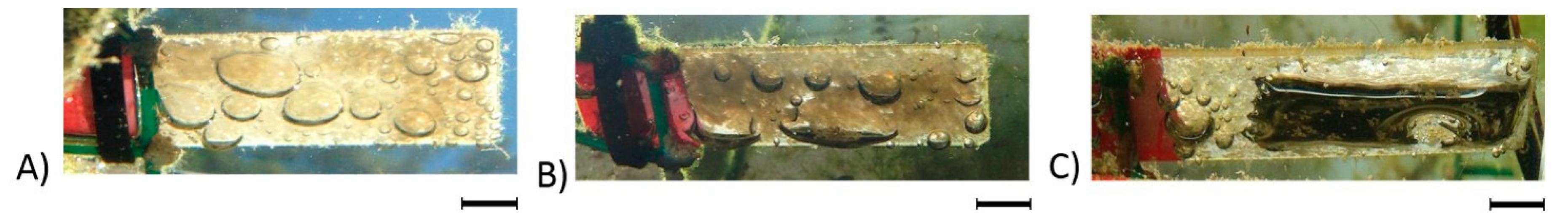 Coatings 09 00303 g005 550