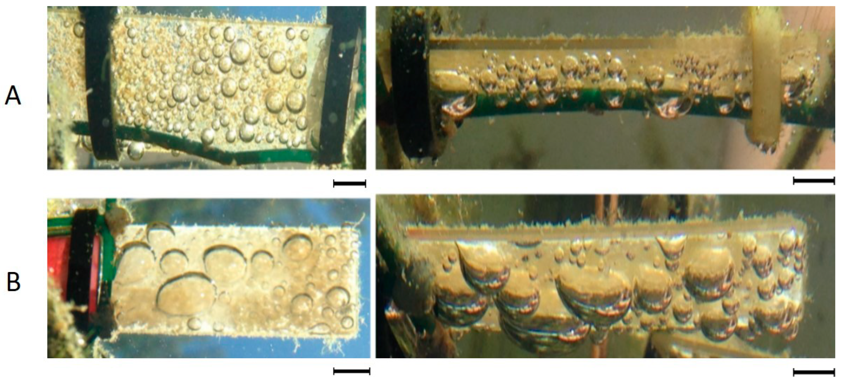 Coatings 09 00303 g006 550