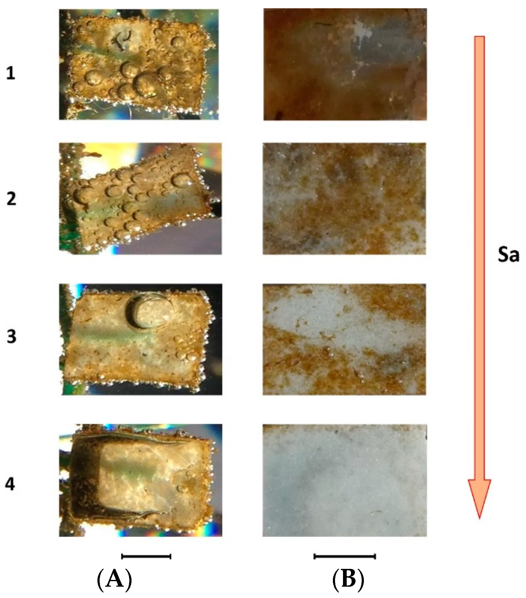 Coatings 09 00303 g007 550
