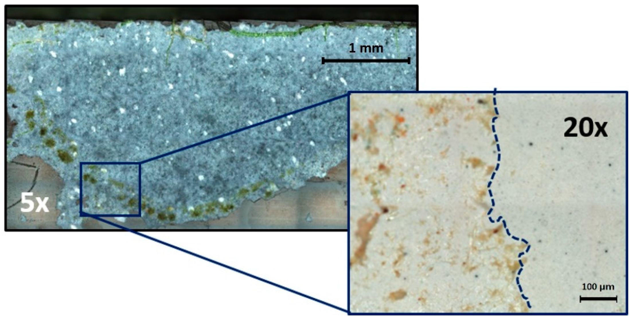 Coatings 09 00303 g008 550