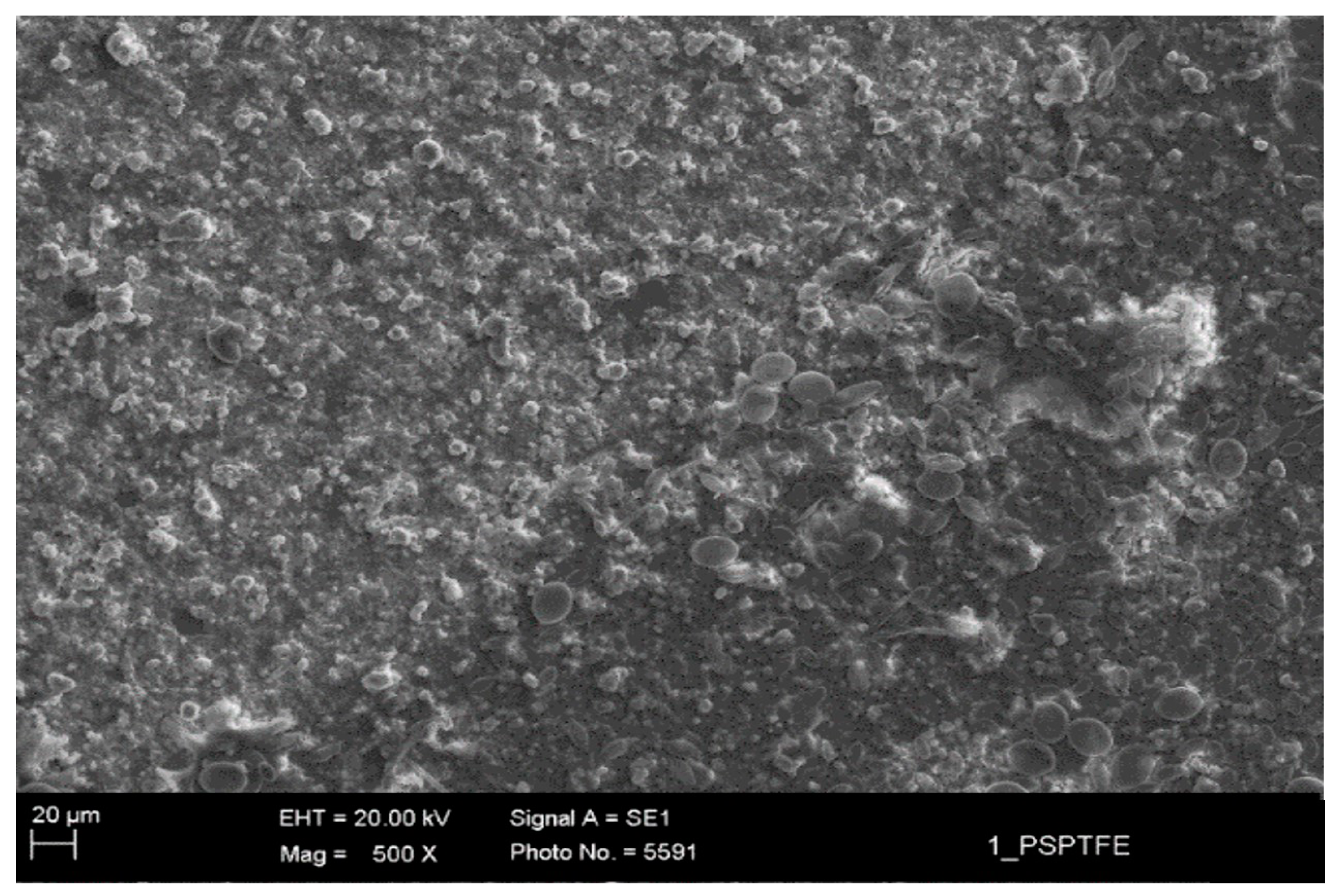 Coatings 09 00303 g009 550