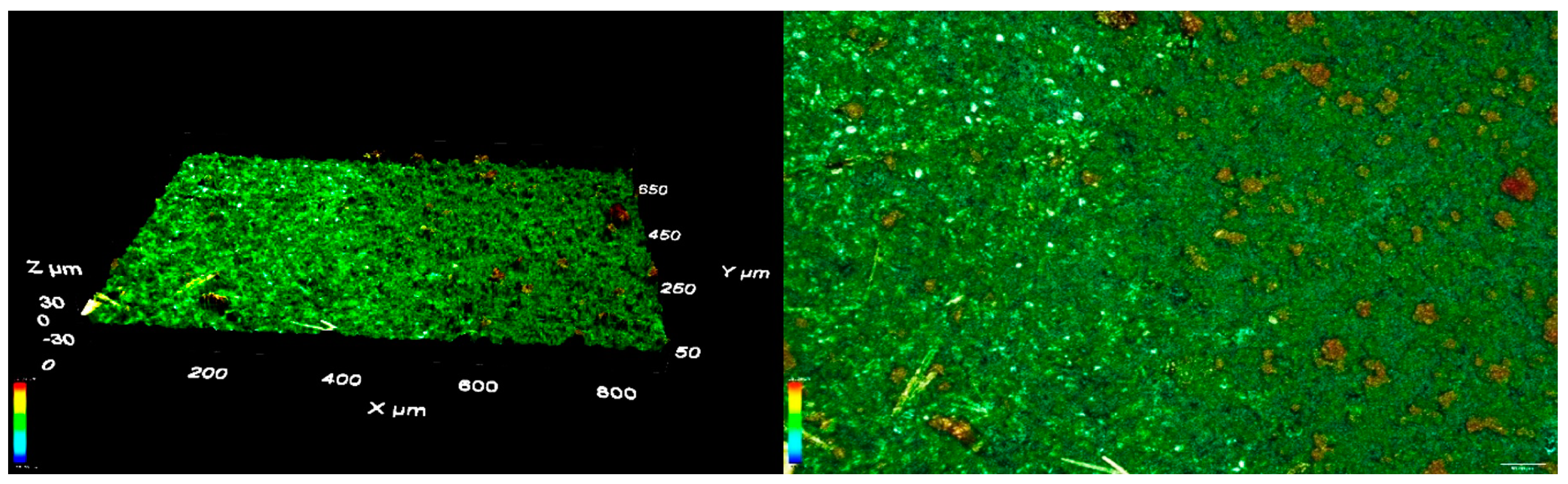 Coatings 09 00303 g010 550
