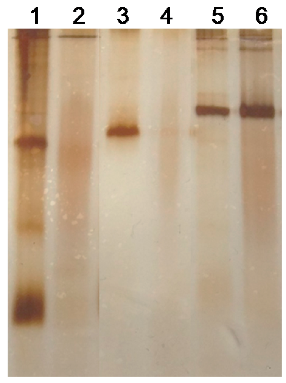 Coatings 09 00311 g002 Coatings 09 00311 g002