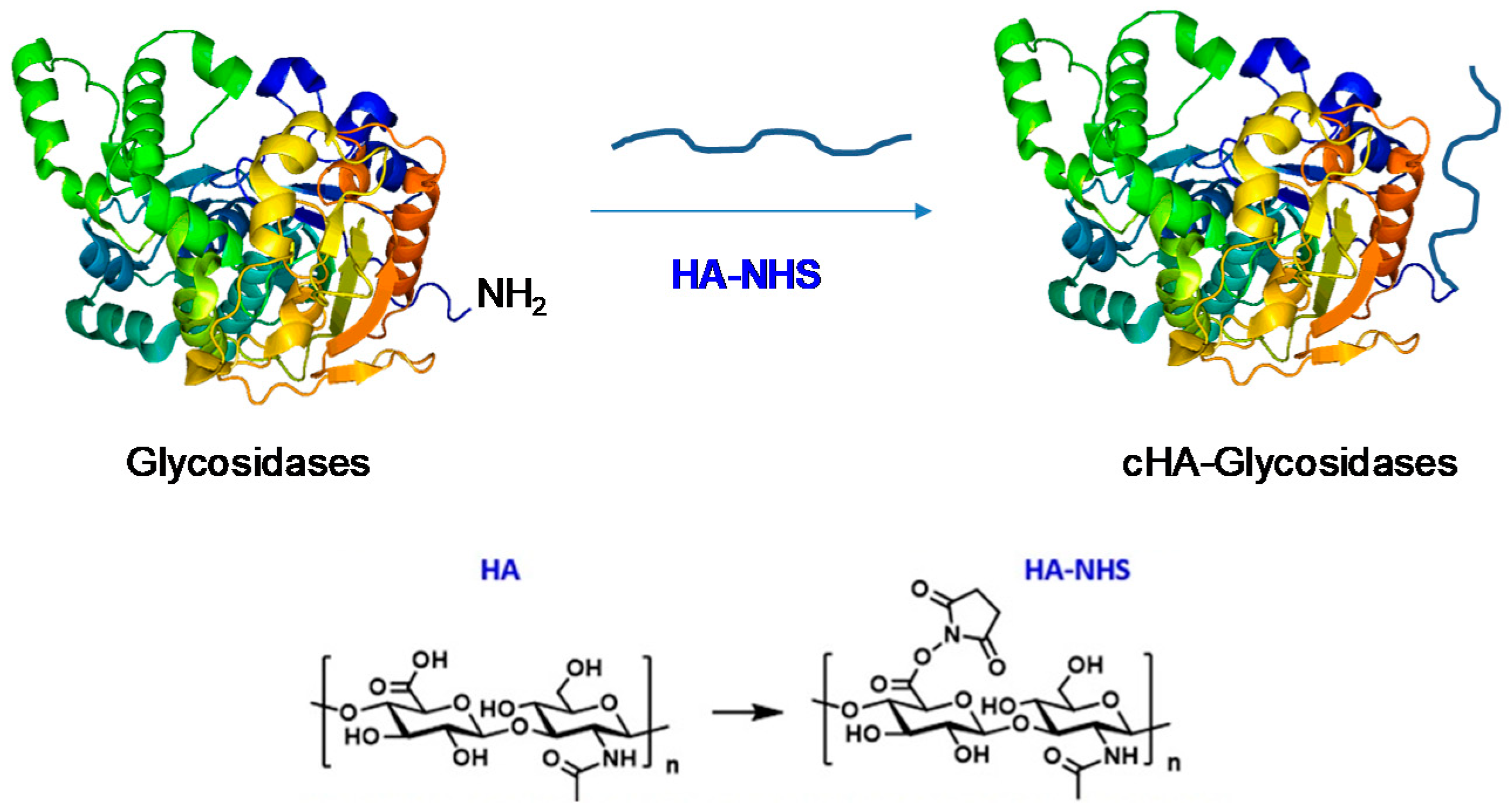 Coatings 09 00311 sch003 Coatings 09 00311 sch003