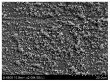 Coatings 09 00313 i003