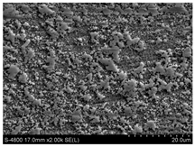 Coatings 09 00313 i007
