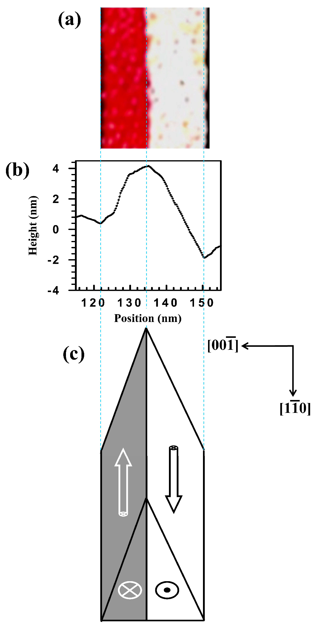 Coatings 09 00314 g006 Coatings 09 00314 g006