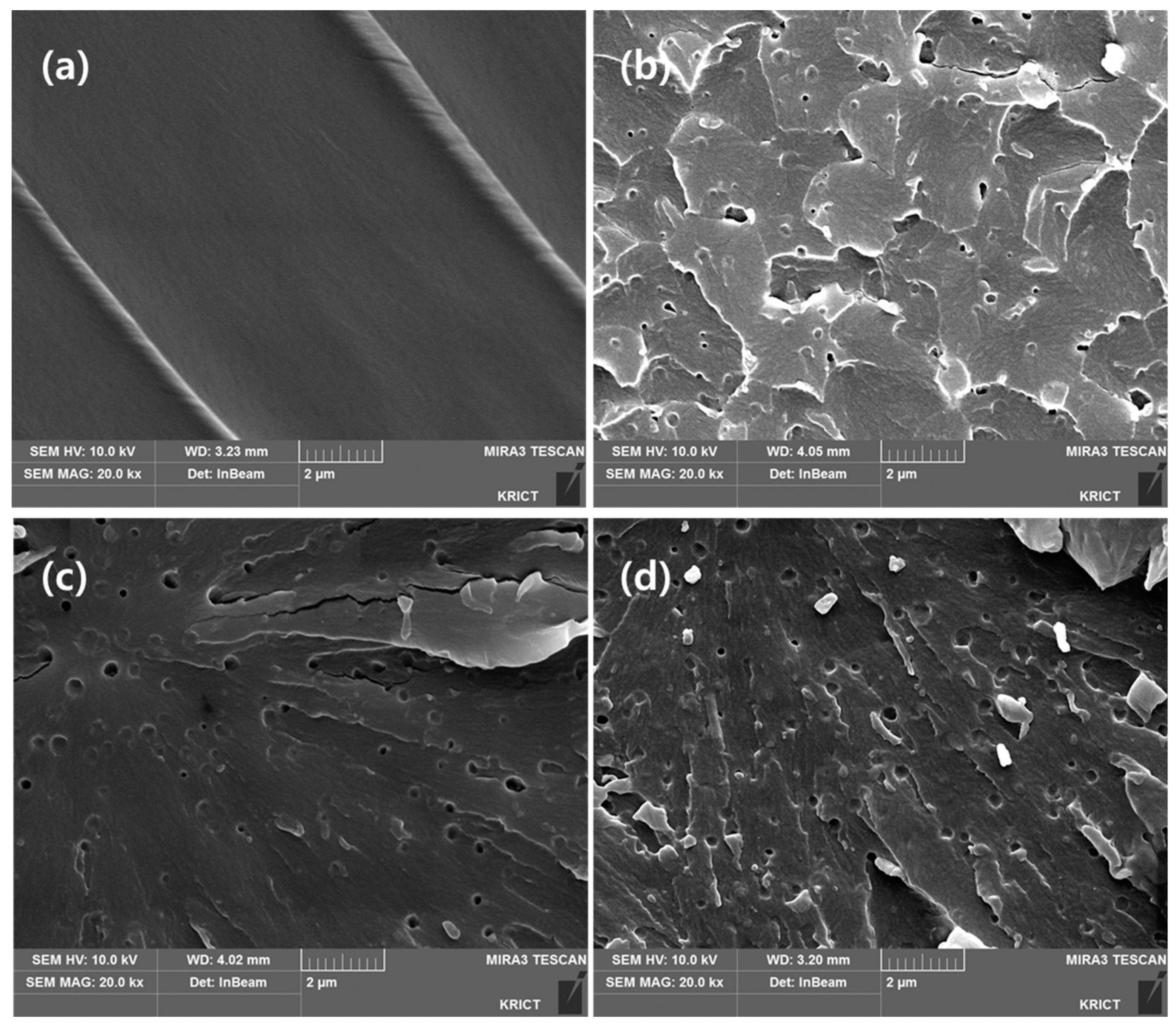 Coatings 09 00319 g008