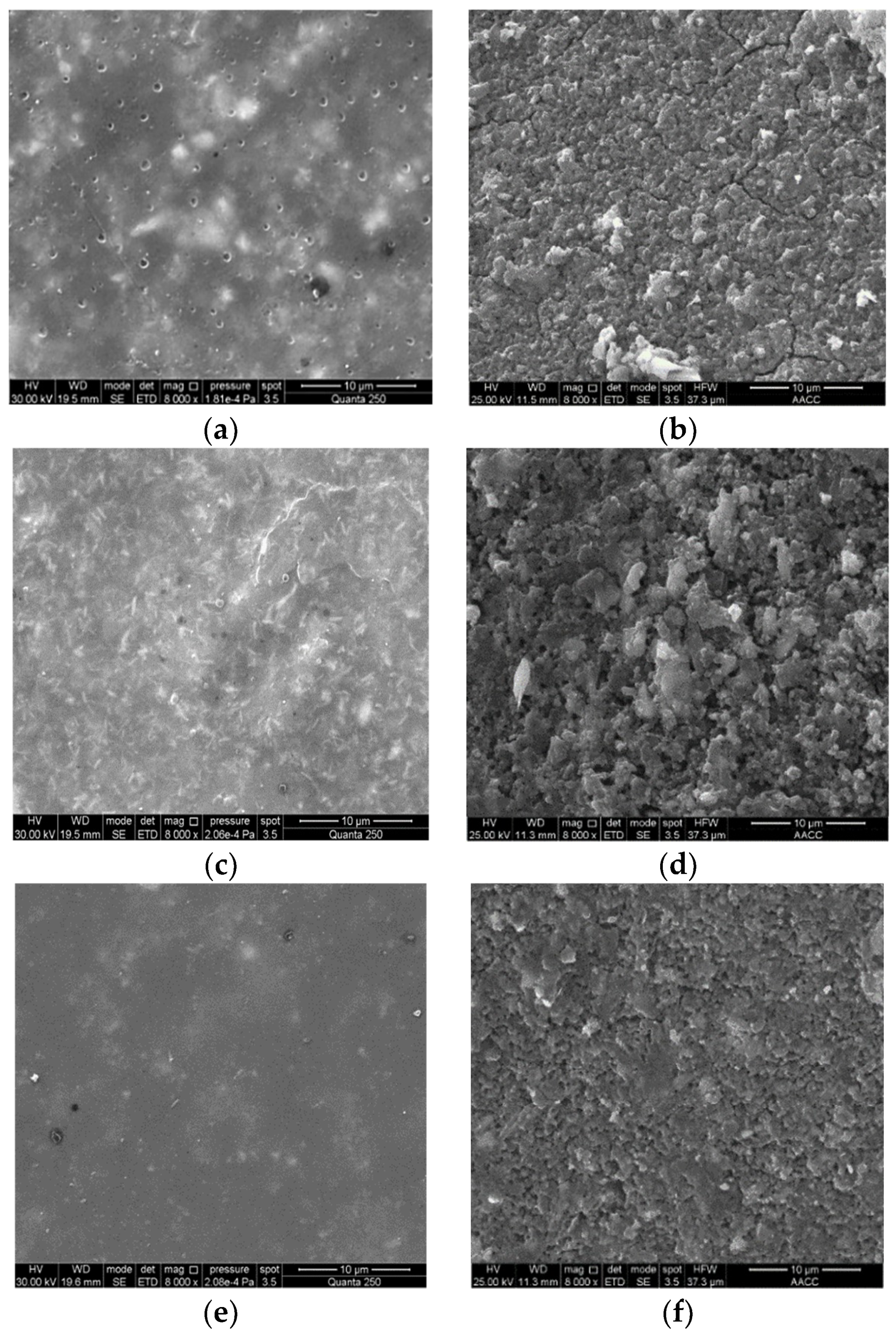Coatings 09 00323 g004