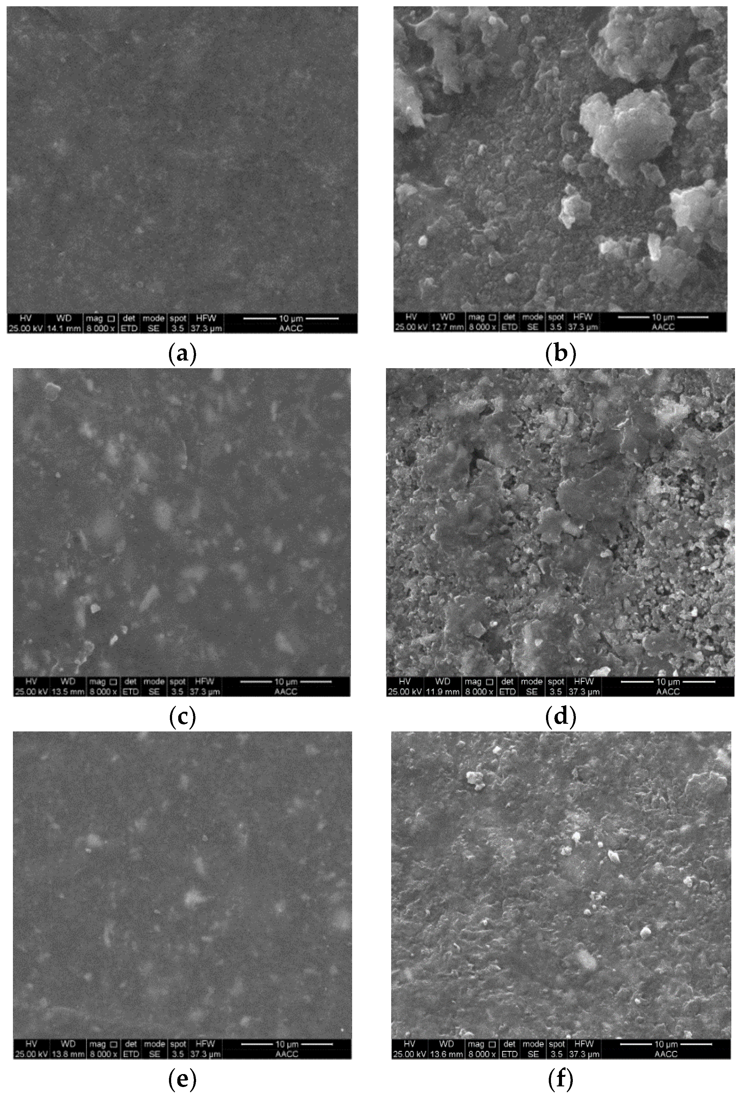 Coatings 09 00323 g005
