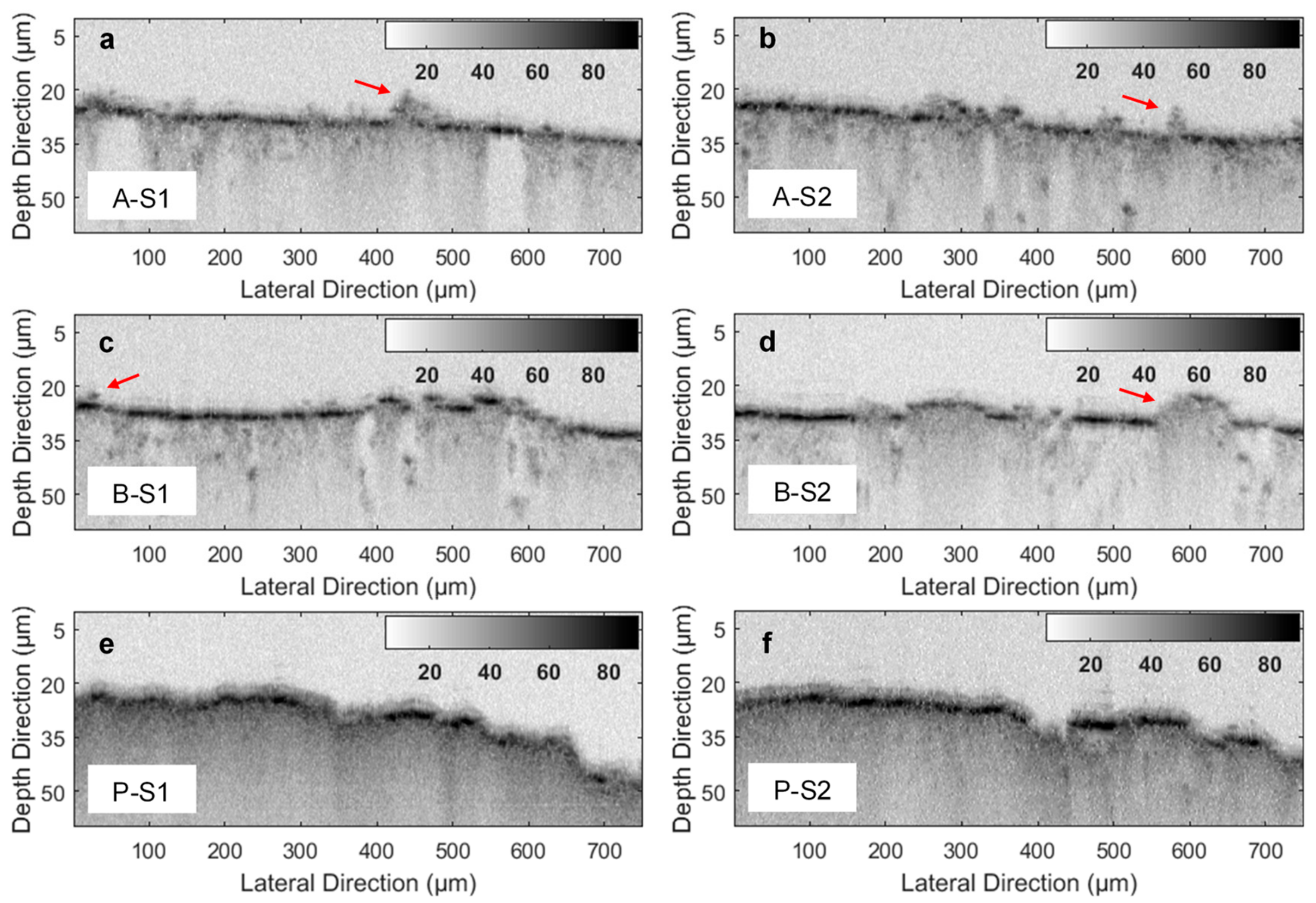 Coatings 09 00326 g002 Coatings 09 00326 g002