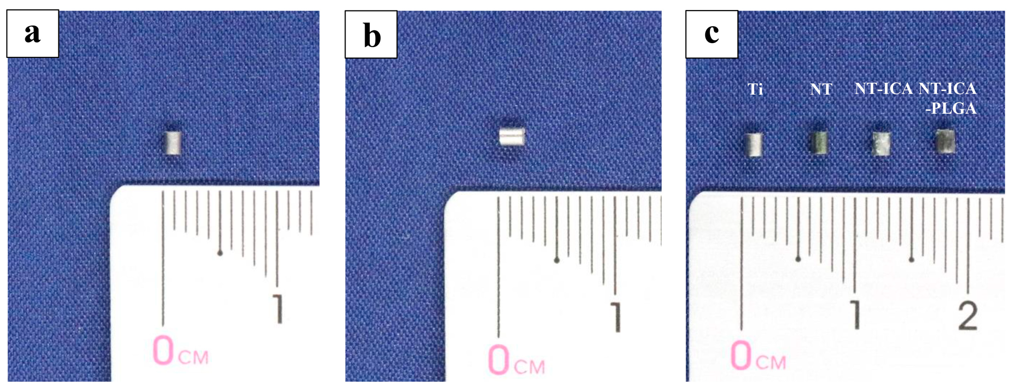 Coatings 09 00327 g001