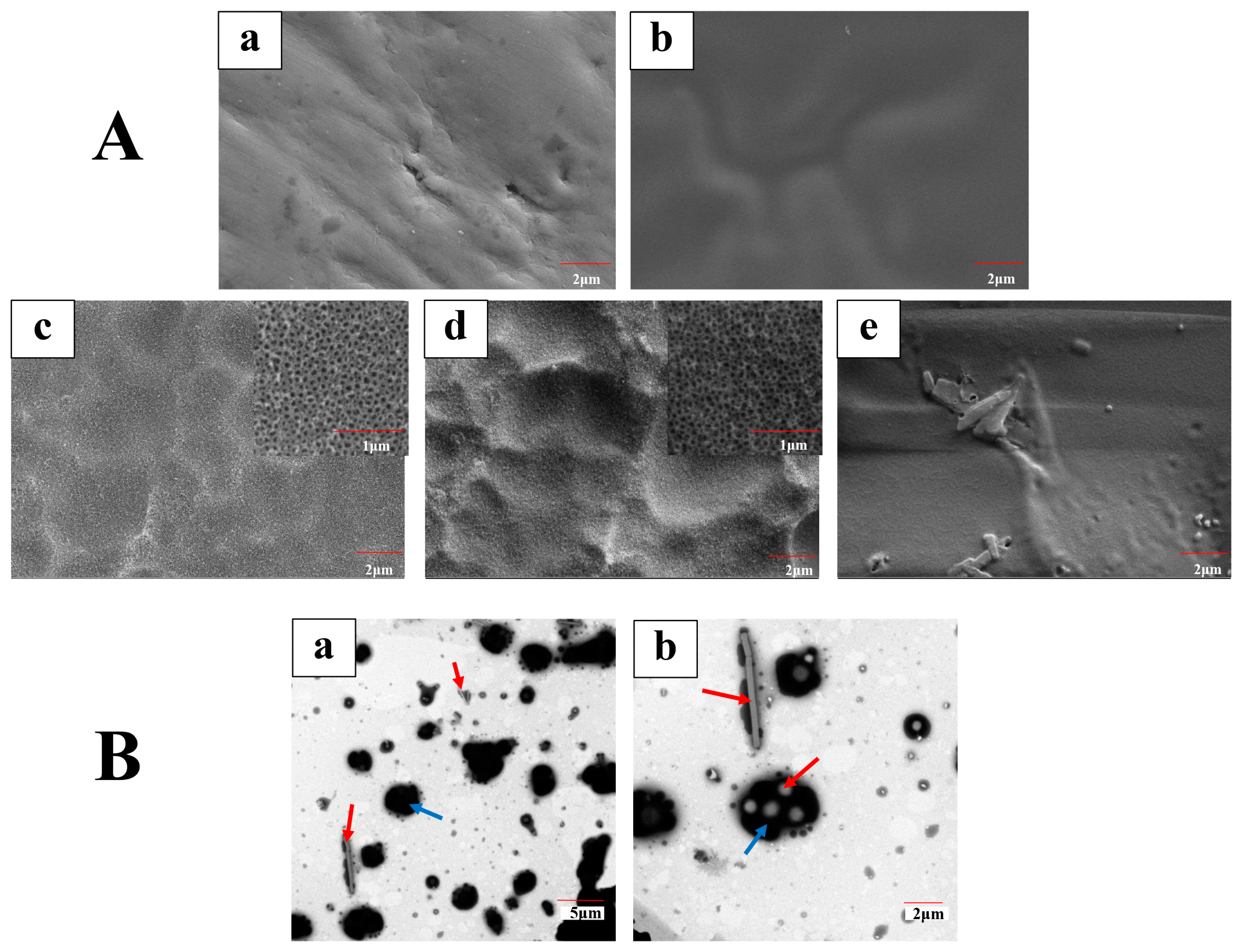 Coatings 09 00327 g002
