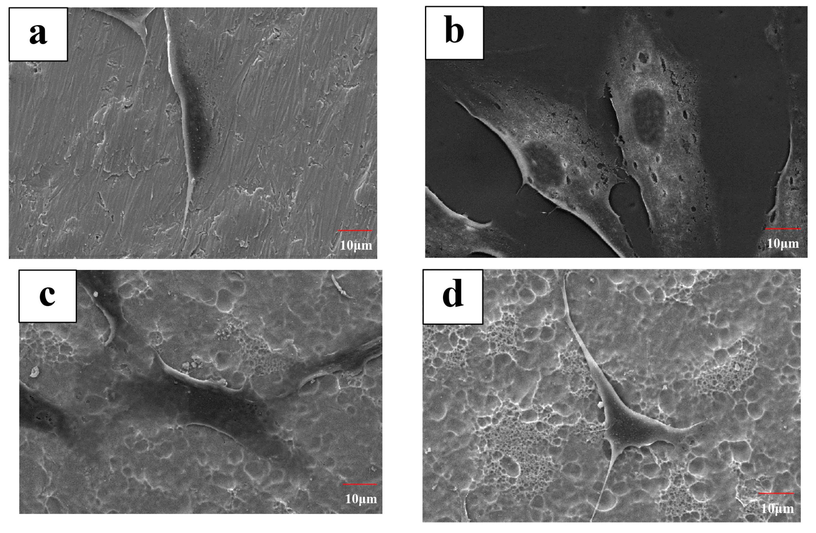 Coatings 09 00327 g005a