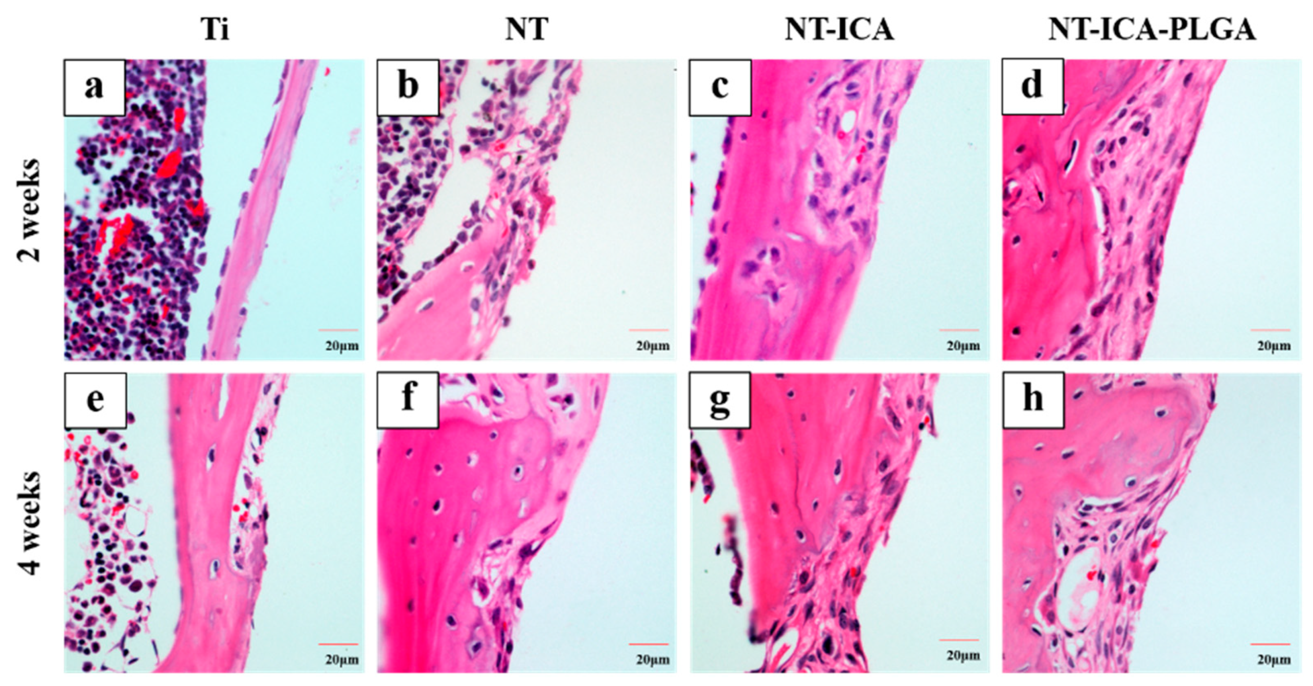 Coatings 09 00327 g009