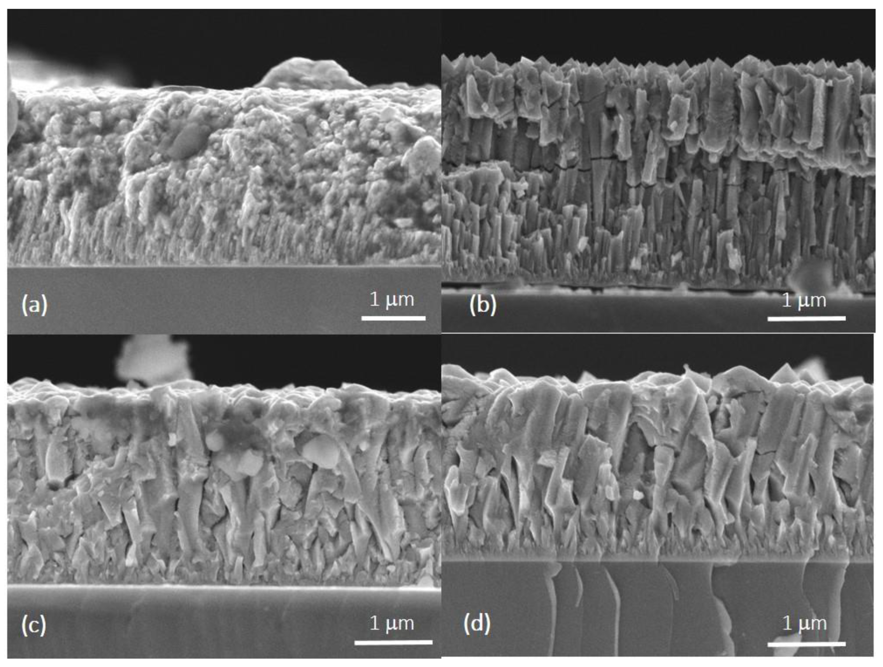 Coatings 09 00329 g005