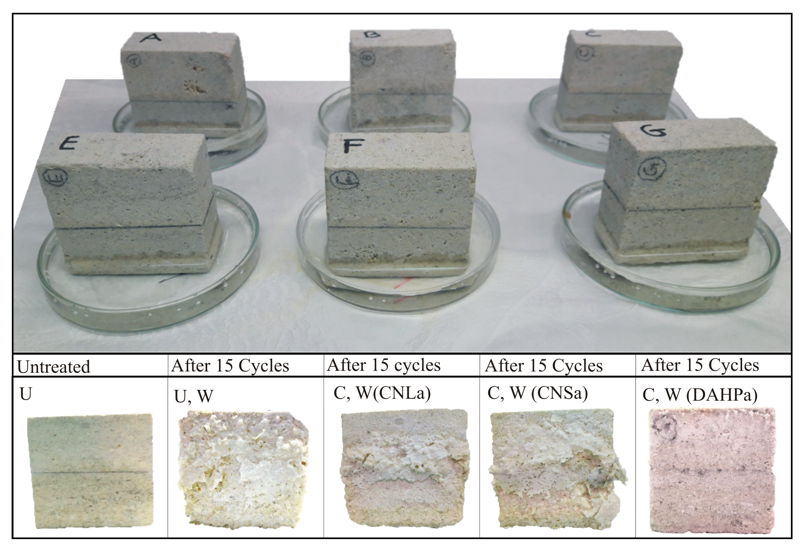 Coatings 09 00330 g008 Coatings 09 00330 g008