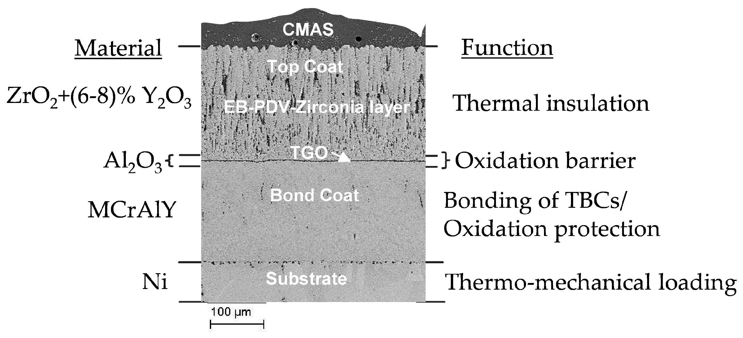 Coatings 09 00332 g001 Coatings 09 00332 g001