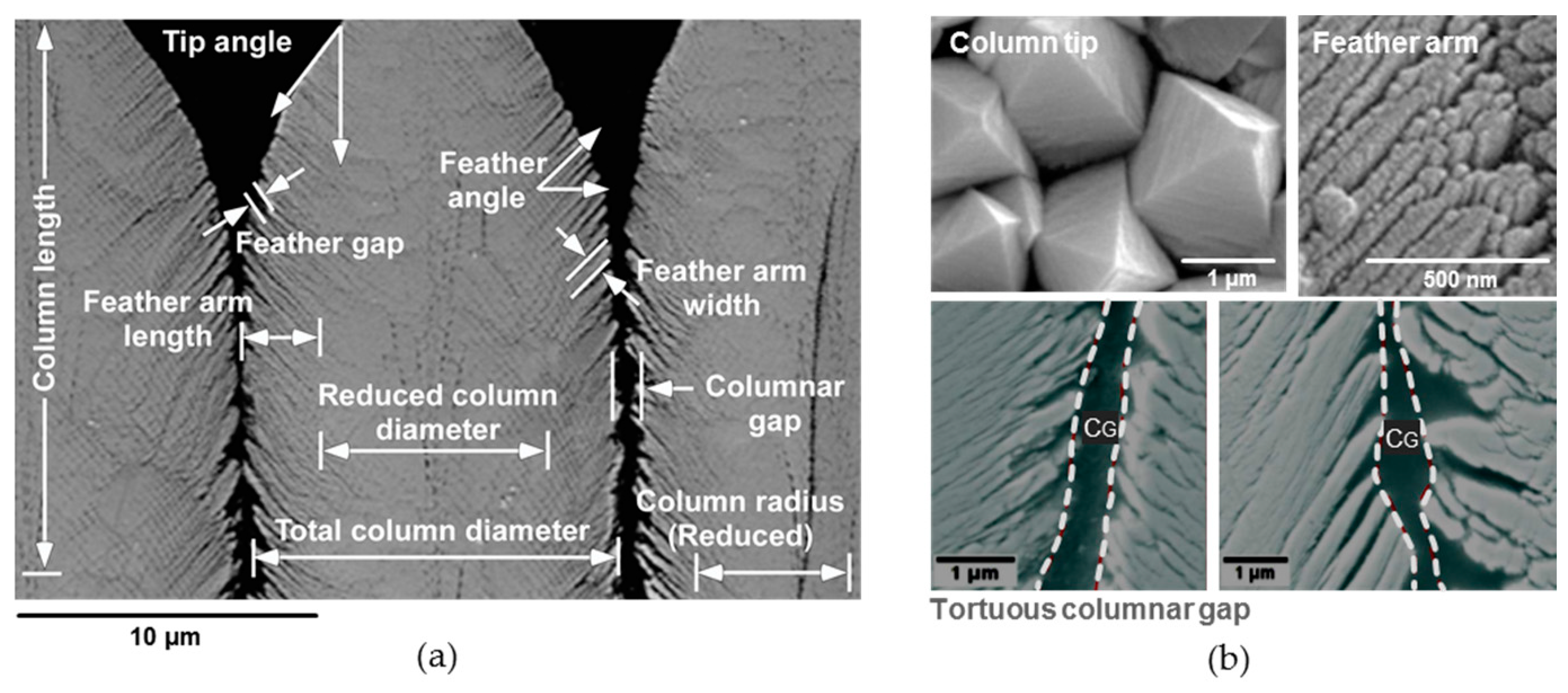 Coatings 09 00332 g003 Coatings 09 00332 g003