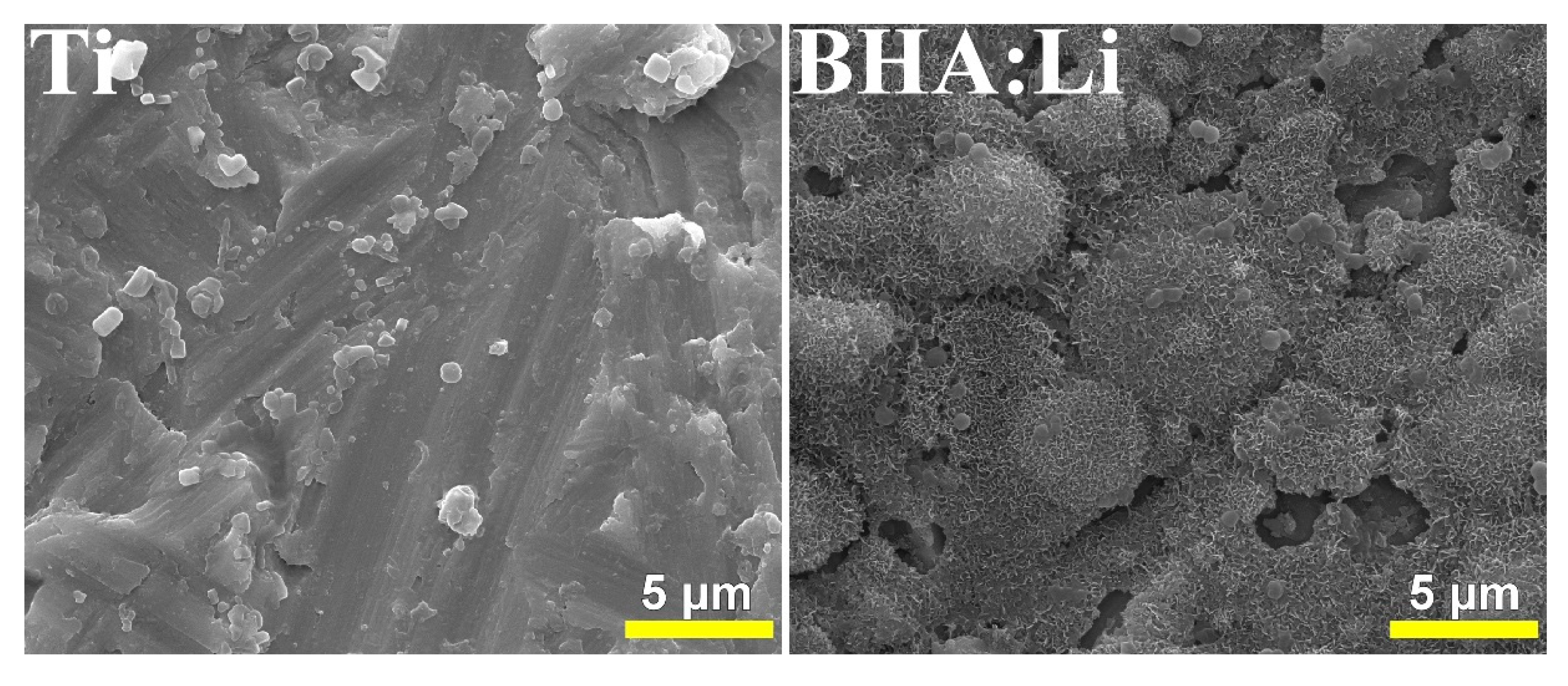 Coatings 09 00335 g010 Coatings 09 00335 g010