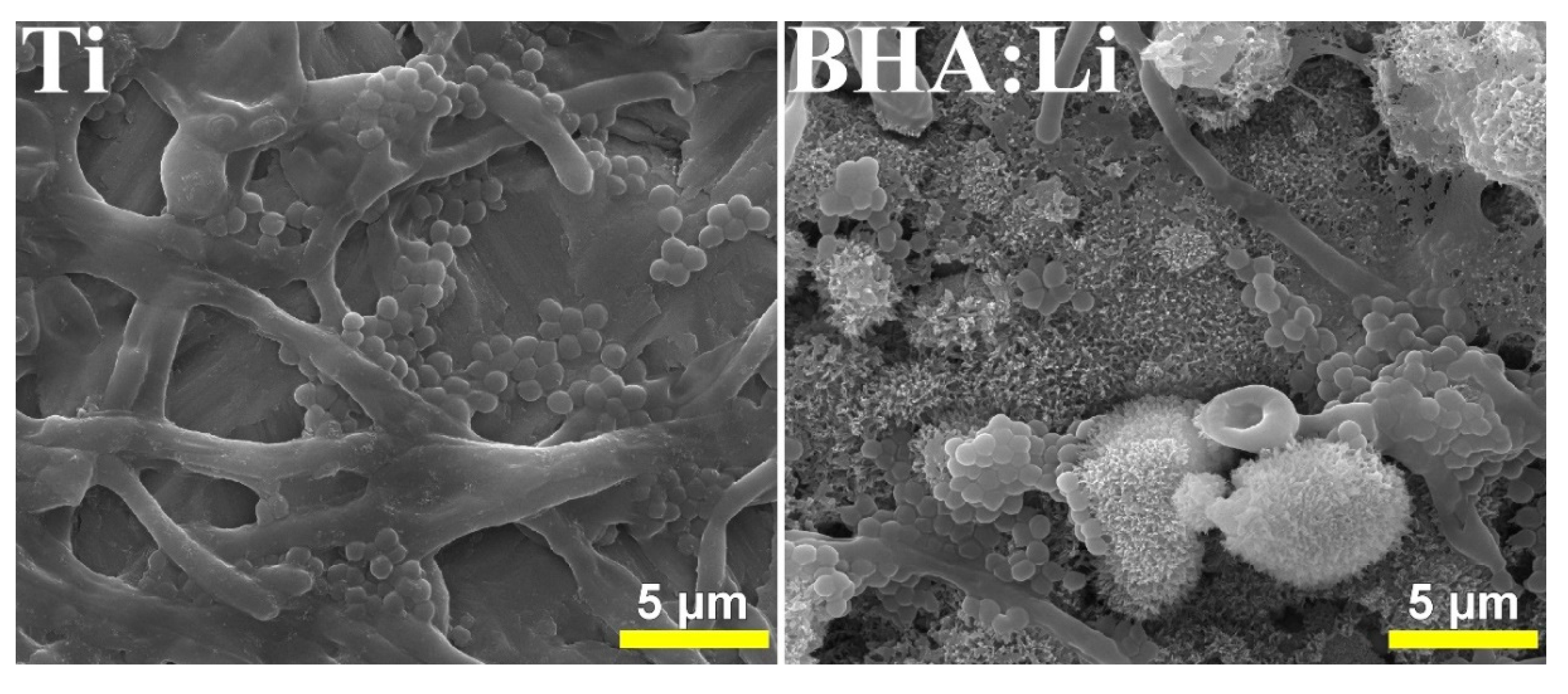 Coatings 09 00335 g012 Coatings 09 00335 g012