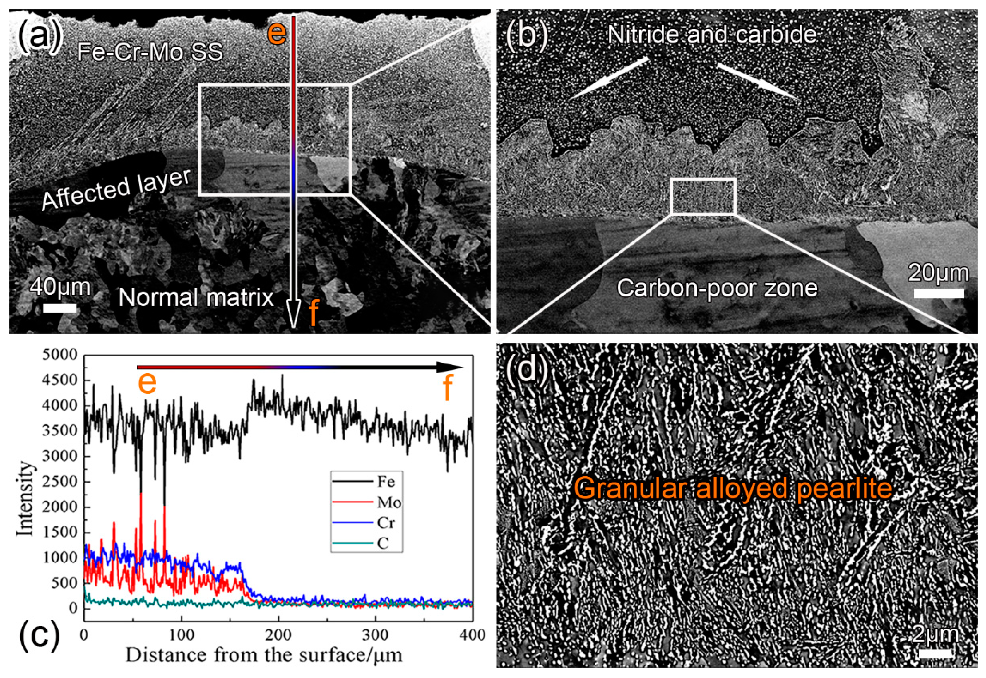 Coatings 09 00336 g003