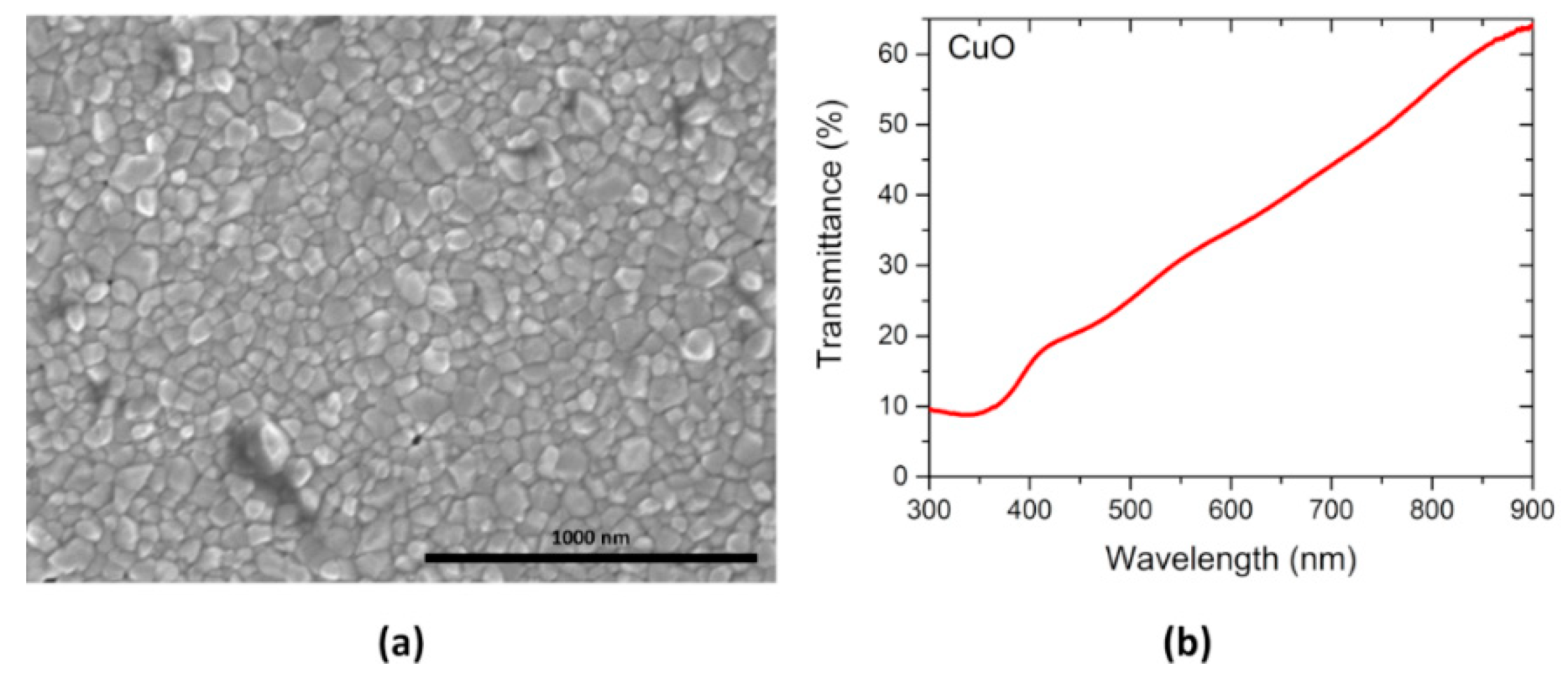 Coatings 09 00337 g003