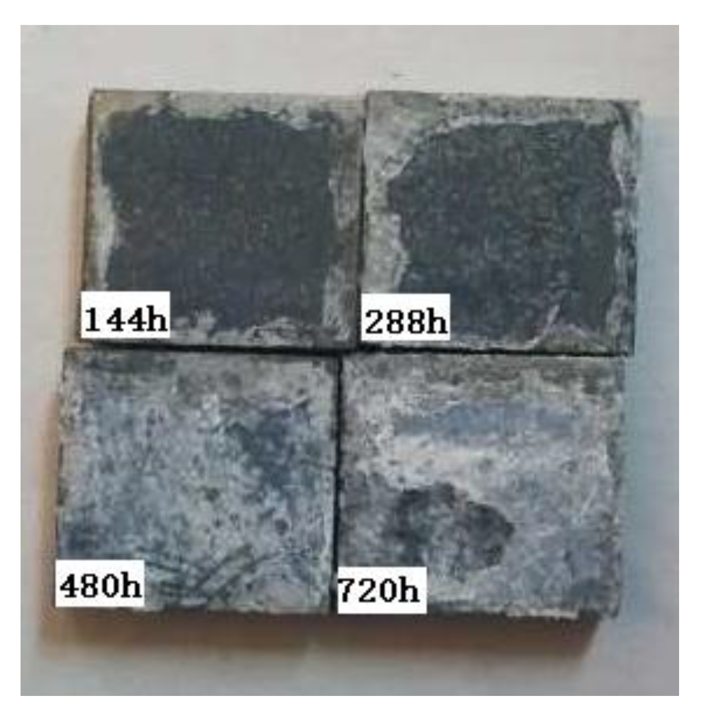 Coatings 09 00339 g003