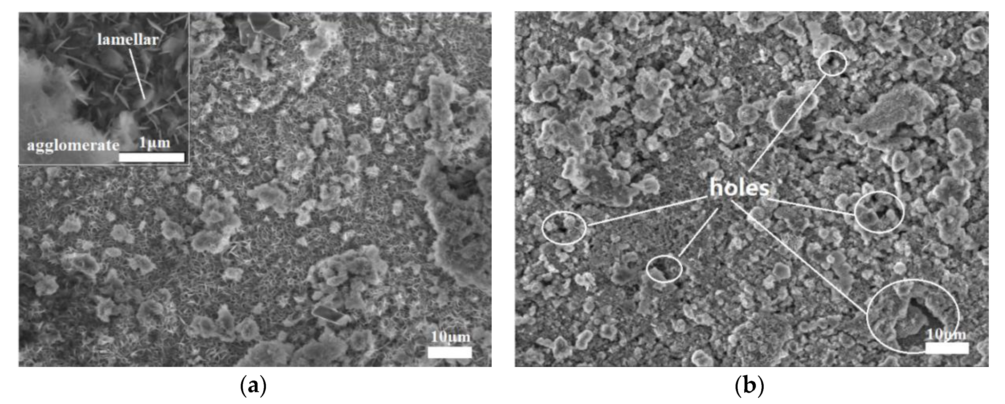 Coatings 09 00339 g004a