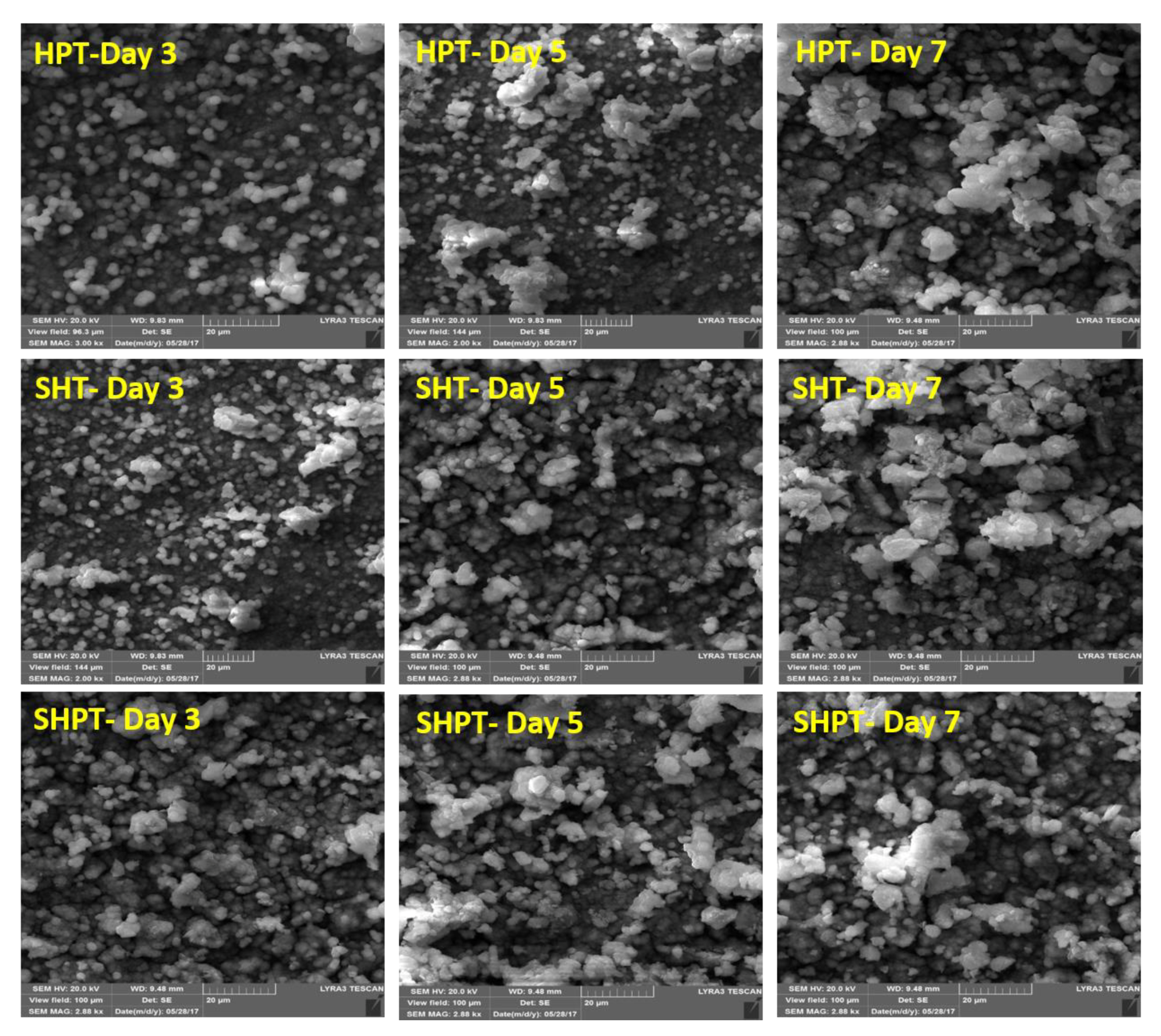 Coatings 09 00344 g008 Coatings 09 00344 g008