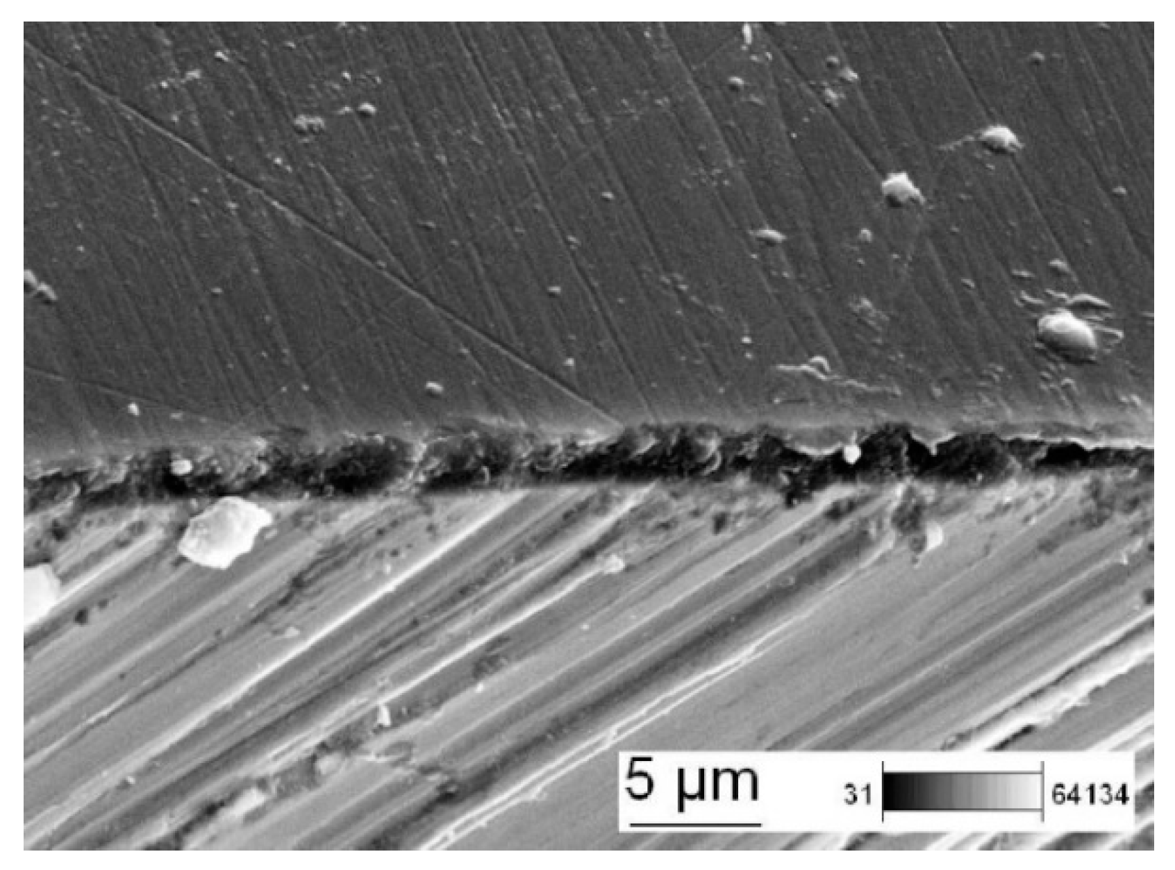 Coatings 09 00345 g004