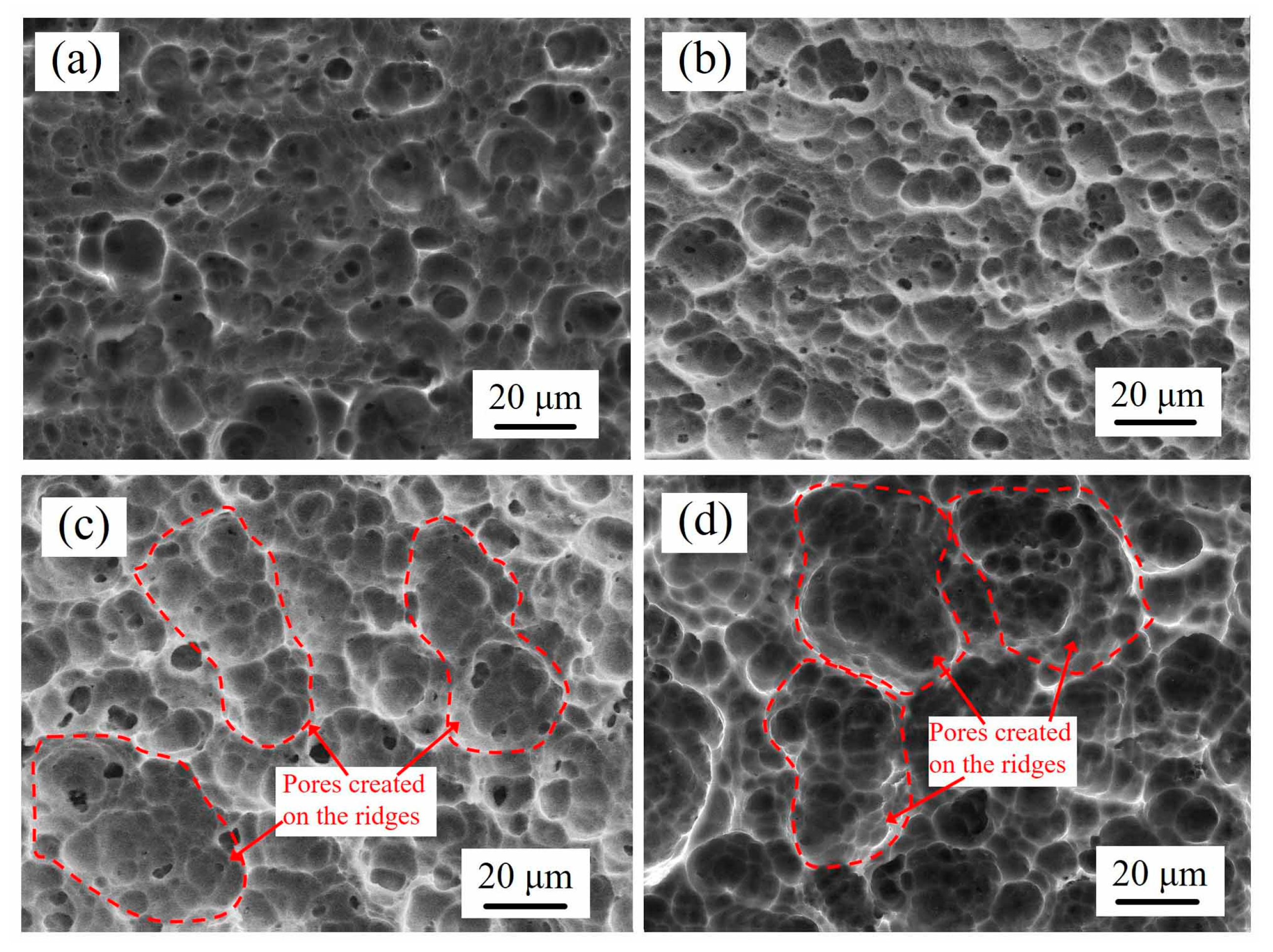 Coatings 09 00346 g007 Coatings 09 00346 g007