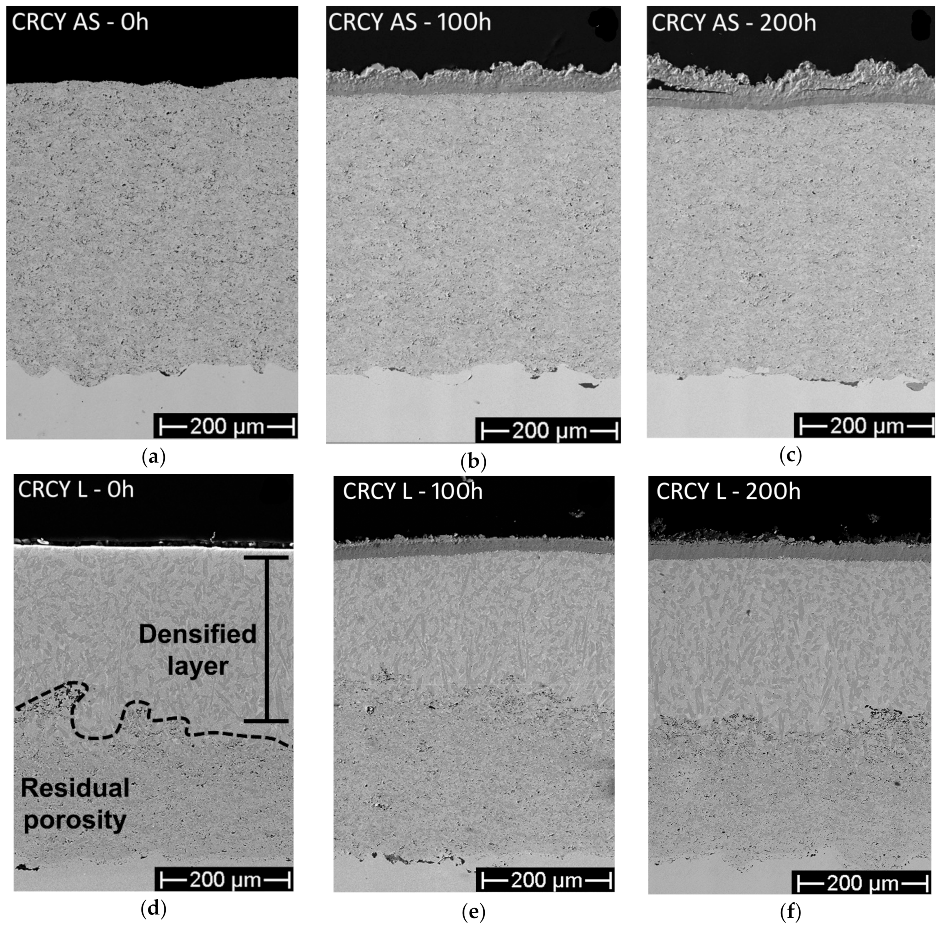 Coatings 09 00347 g004