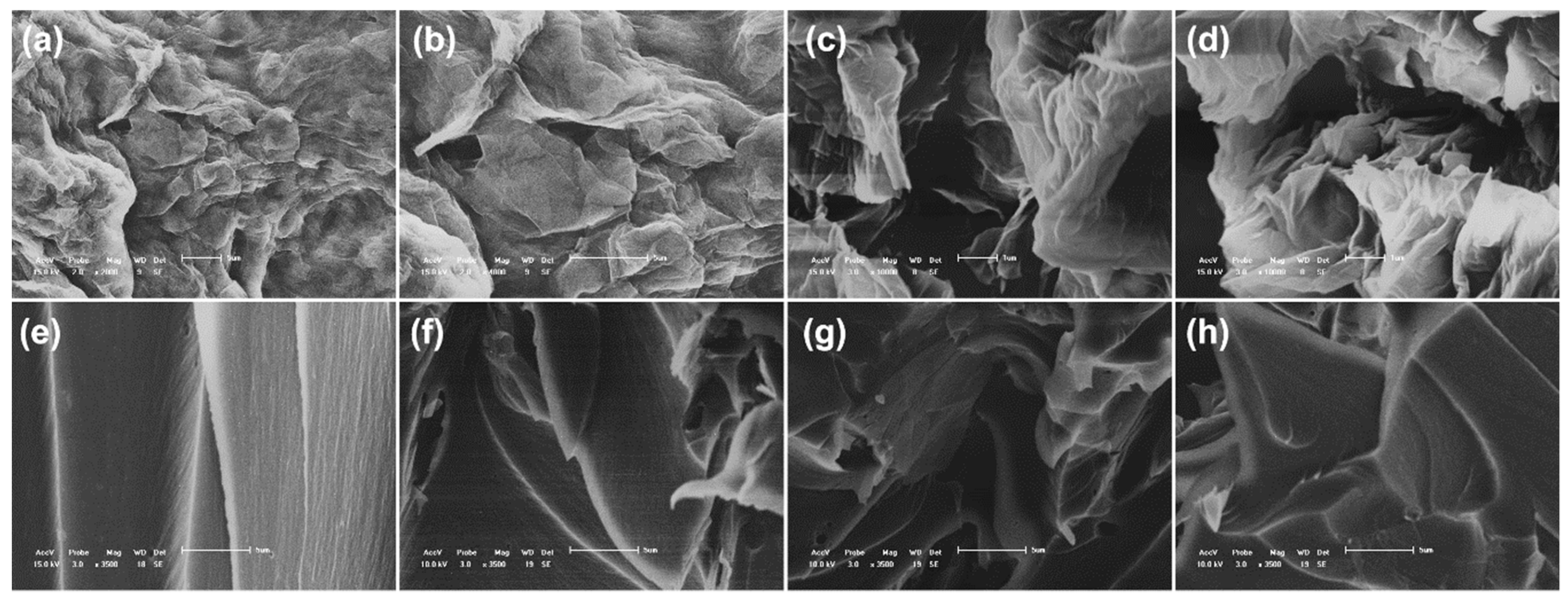 Coatings 09 00348 g004 Coatings 09 00348 g004