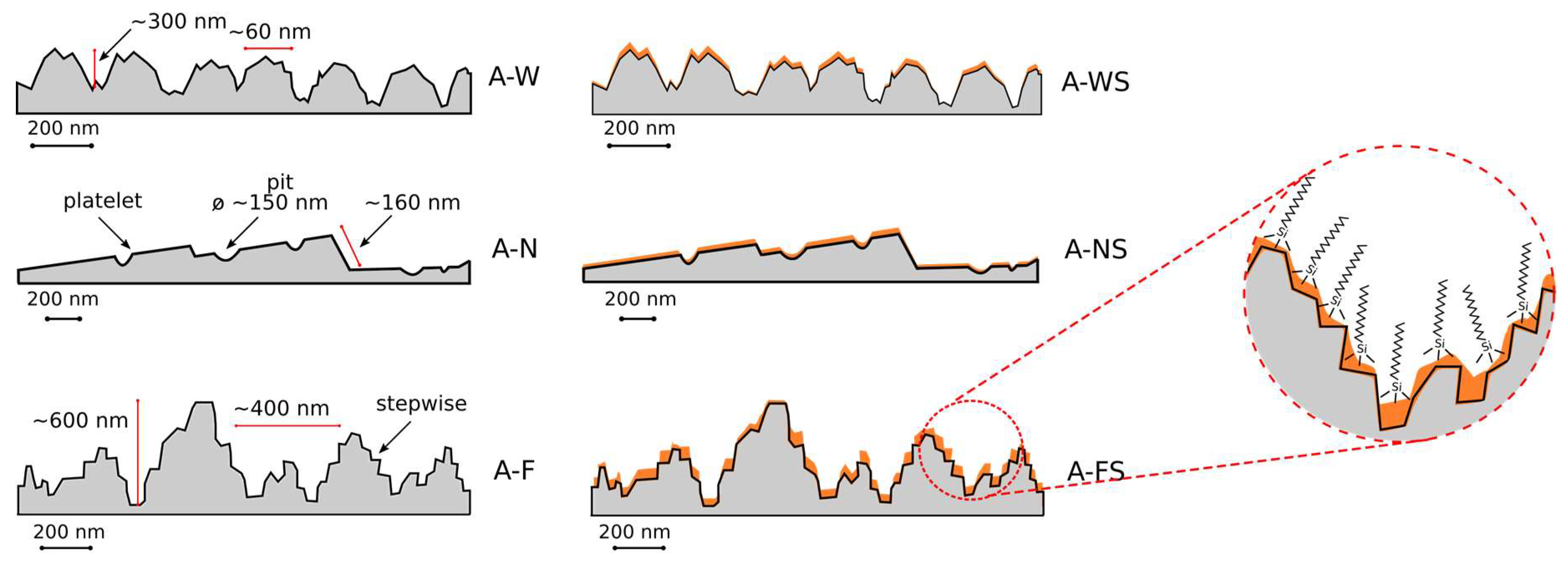 Coatings 09 00352 g007