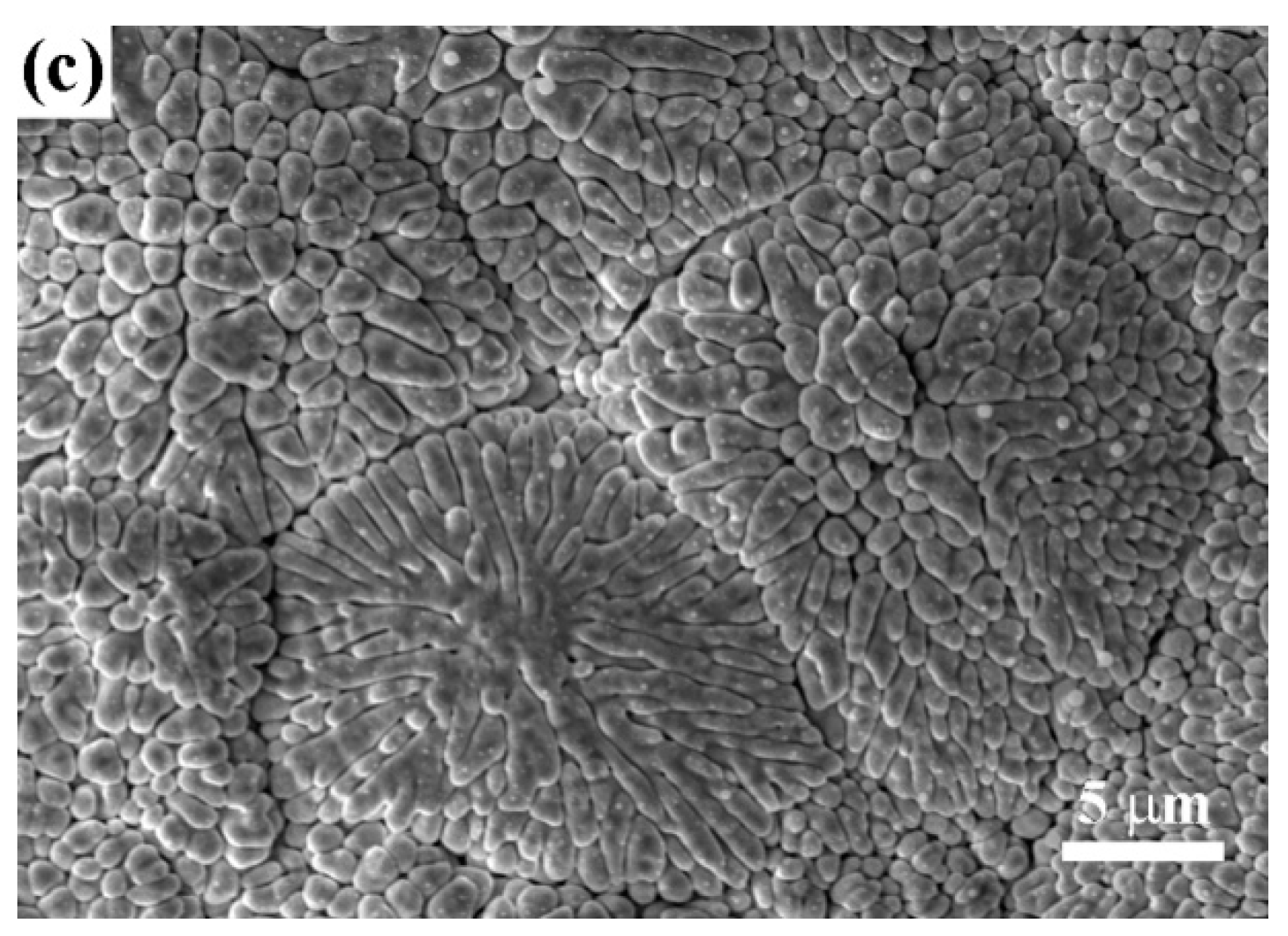 Coatings 09 00353 g004b Coatings 09 00353 g004b